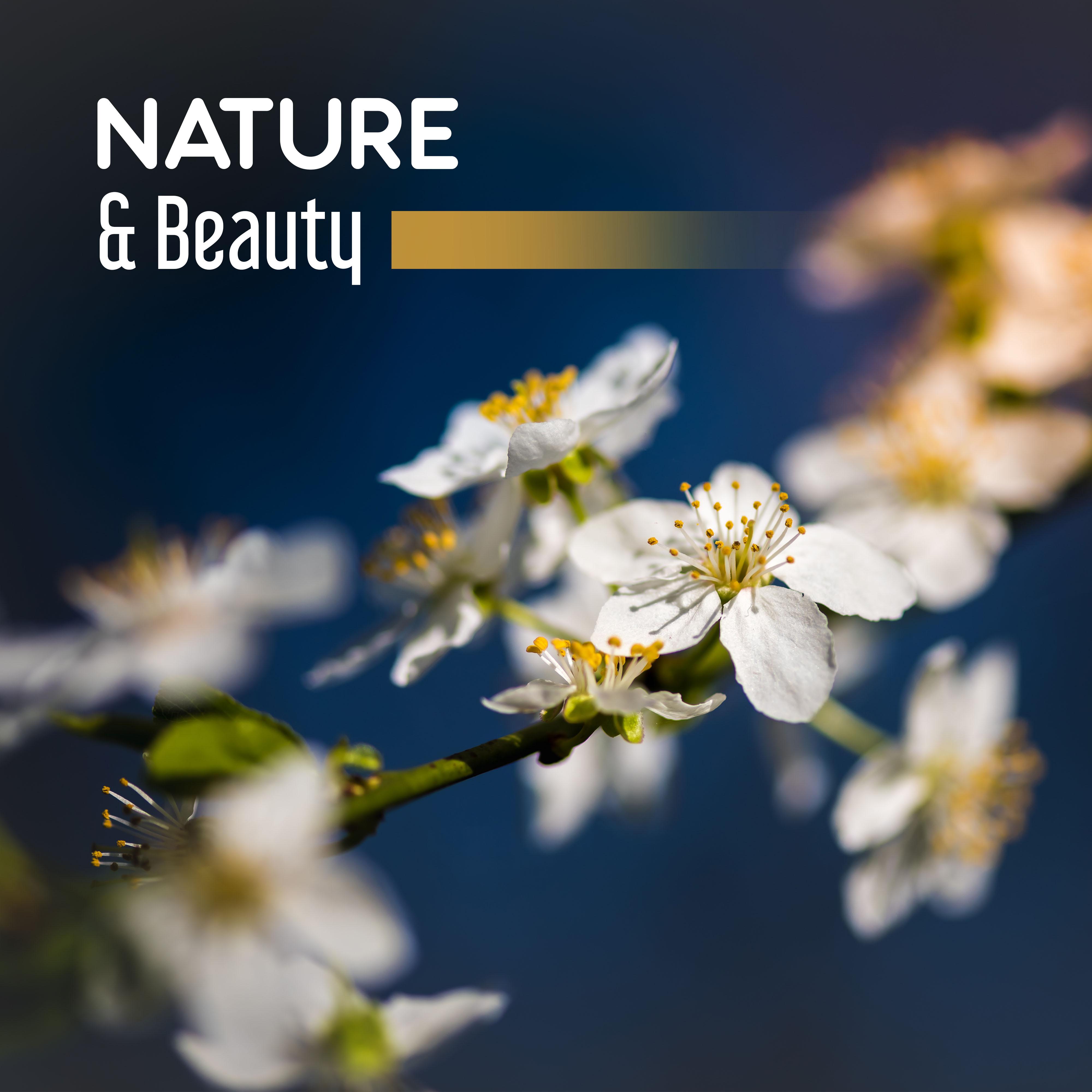 Nature & Beauty – Gentle Nature Sounds for Relaxation, Calm Down, Contemplation of Nature, Pure Mind, Singing Birds, Soothing Rain