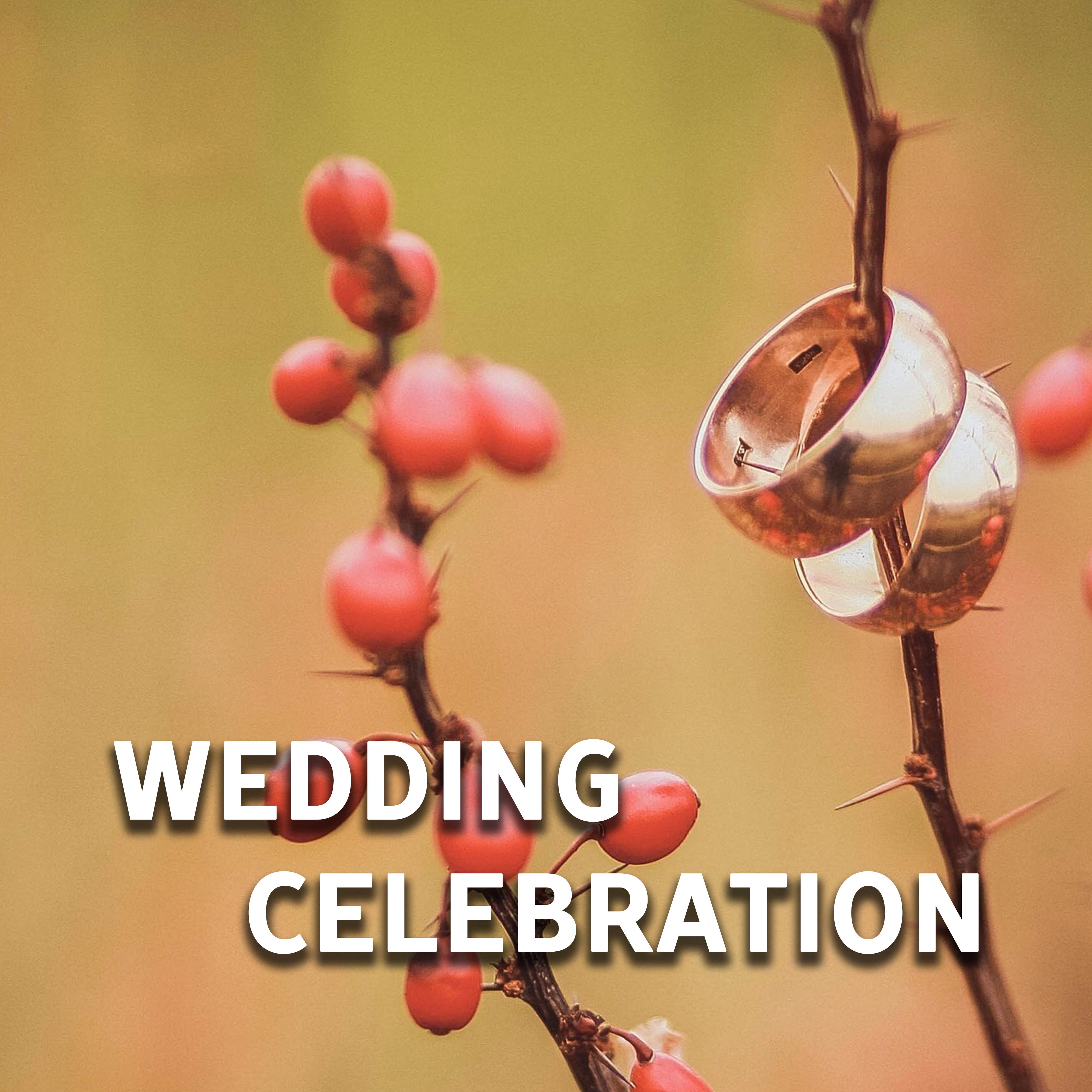 Wedding Celebration – Relaxation Sounds for Lovers, Wedding Music, Instrumental Jazz, True Love, Gentle Piano, Saxophone