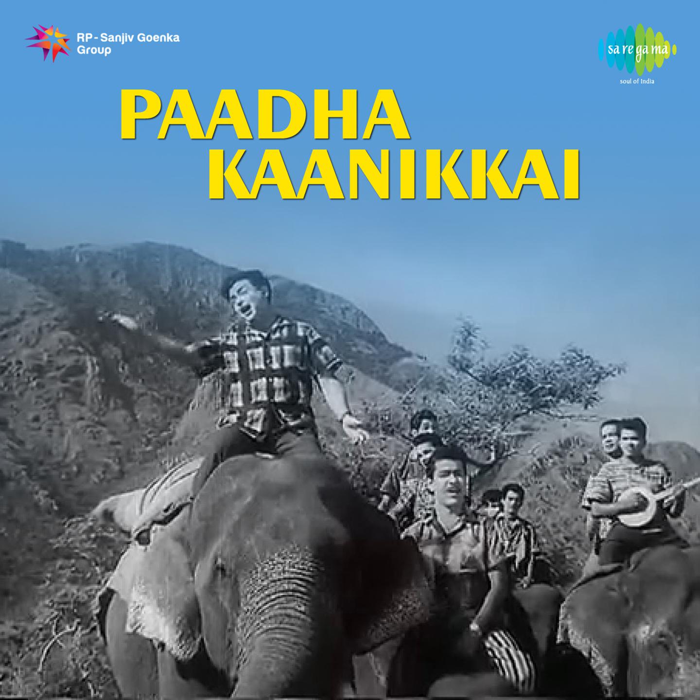 Paadha Kaanikkai