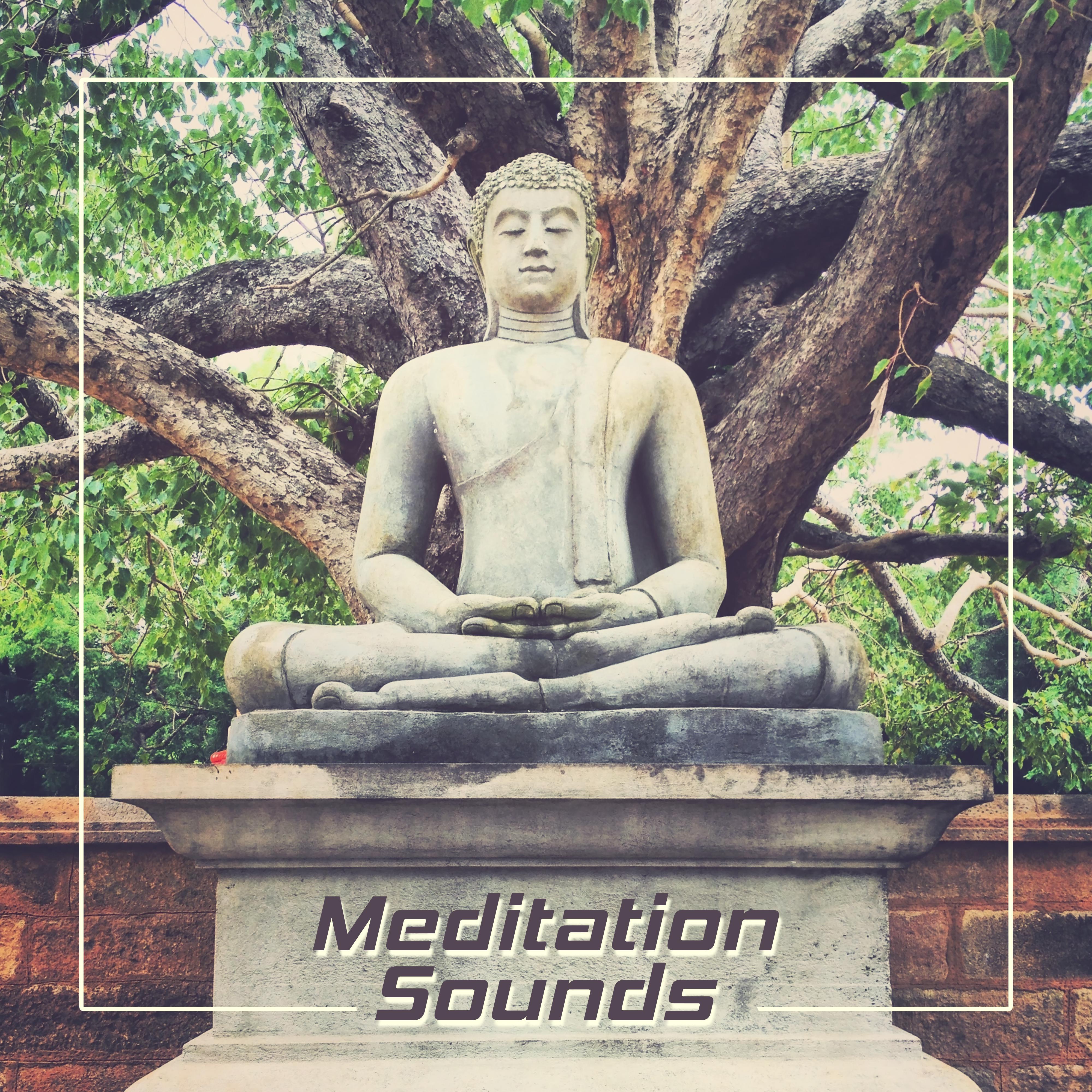 Meditation Sounds – Pure Sounds of Nature for Deep Meditation, Yoga Training, Chakra Healing, Zen, Karma, Yoga Music
