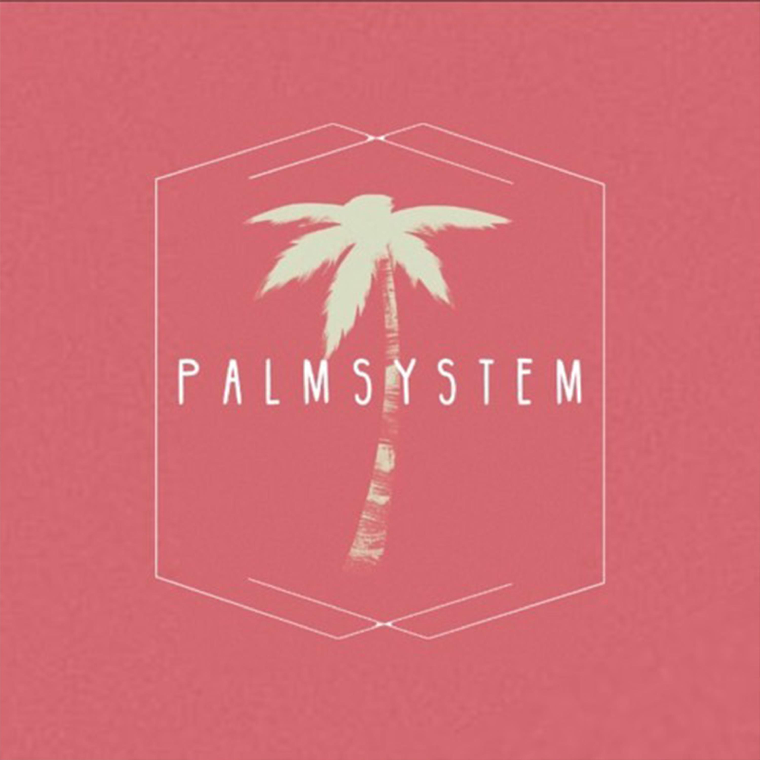 P A L M S Y S T E M