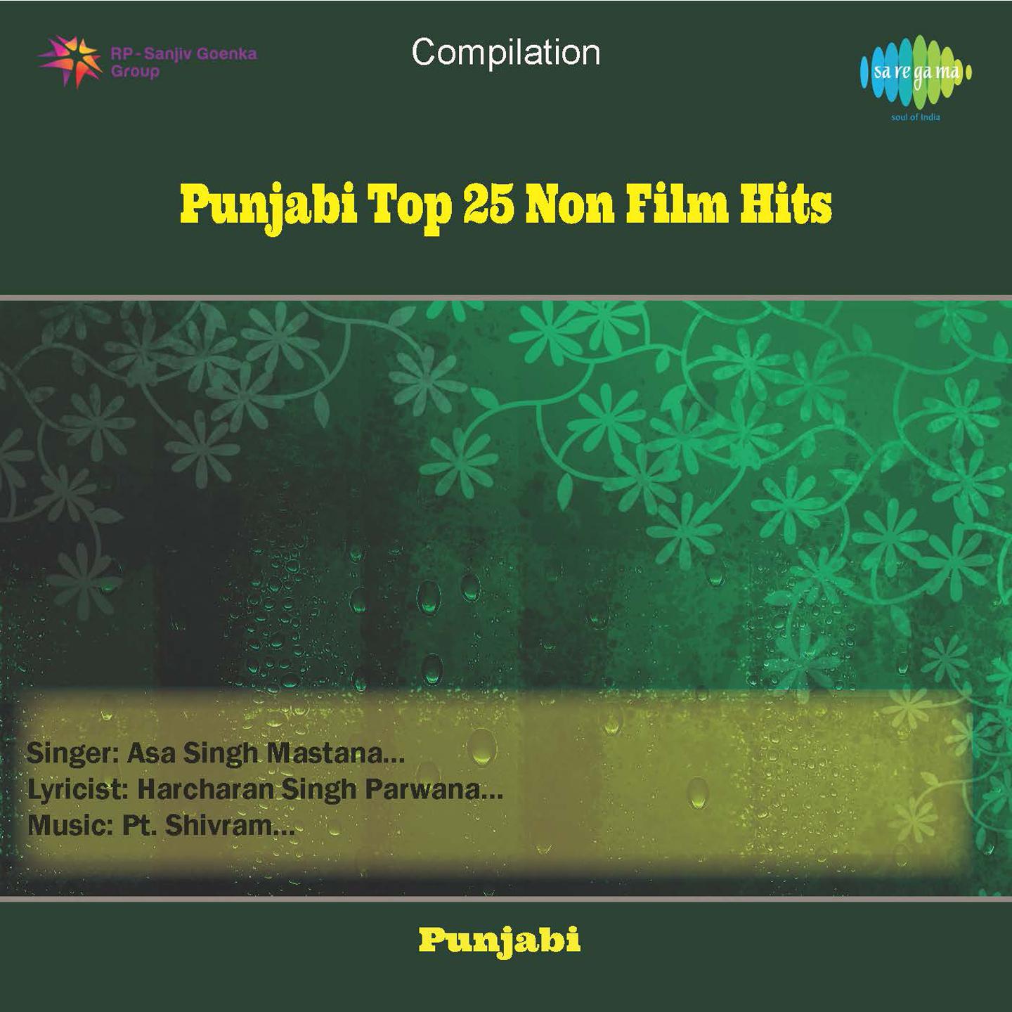 Punjabi Top 25 Non Film Hits