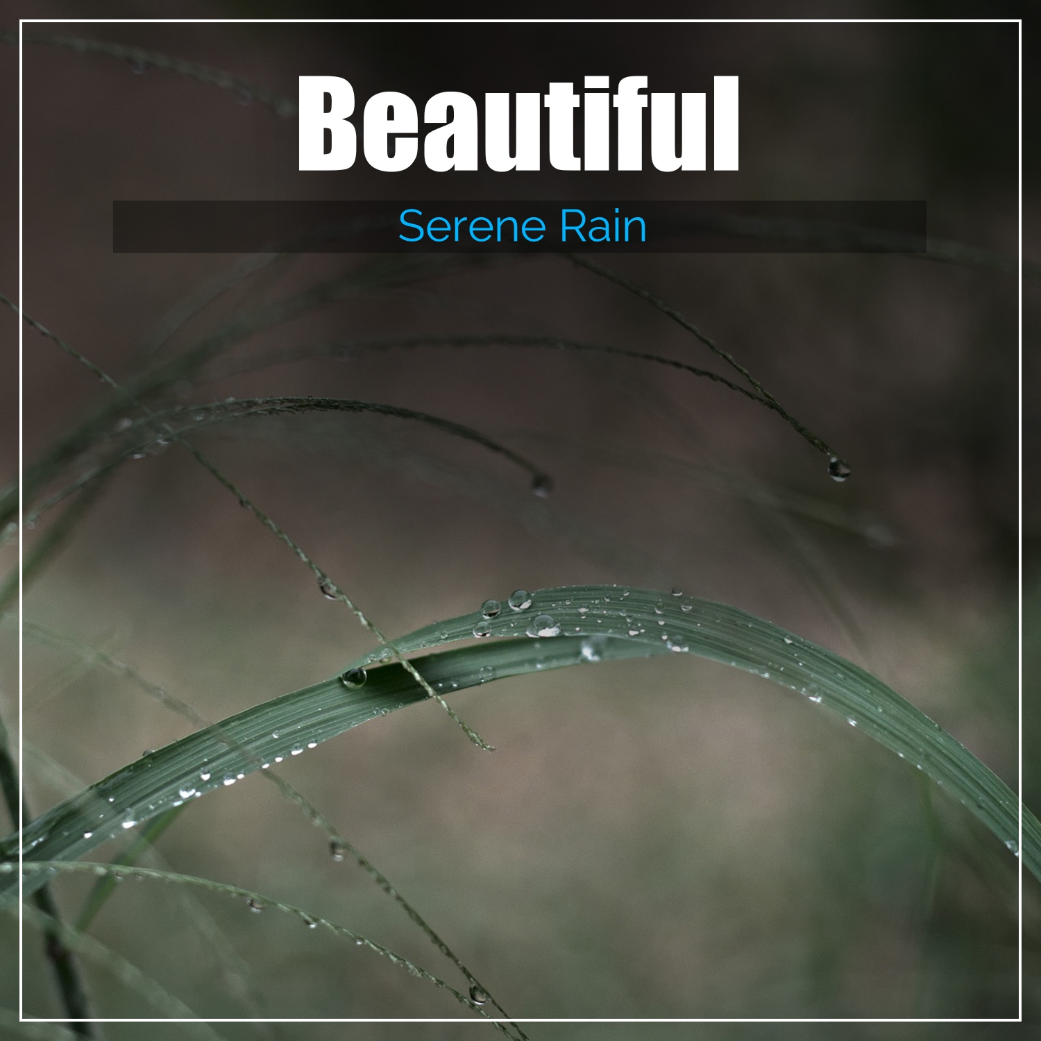 17 Beautiful, Serene Rain Sounds - Sleep, Spa & Meditation Sounds