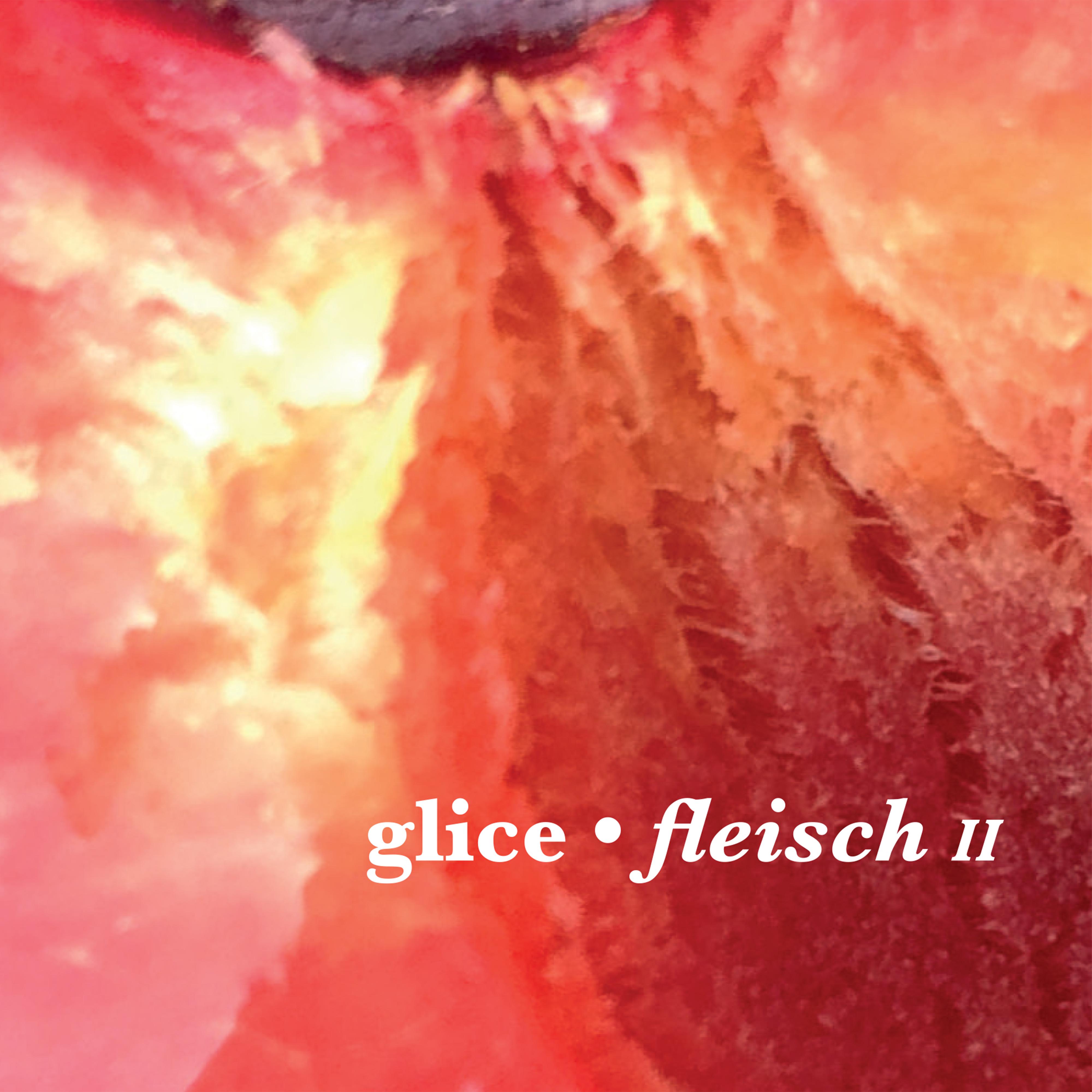 Fleisch II