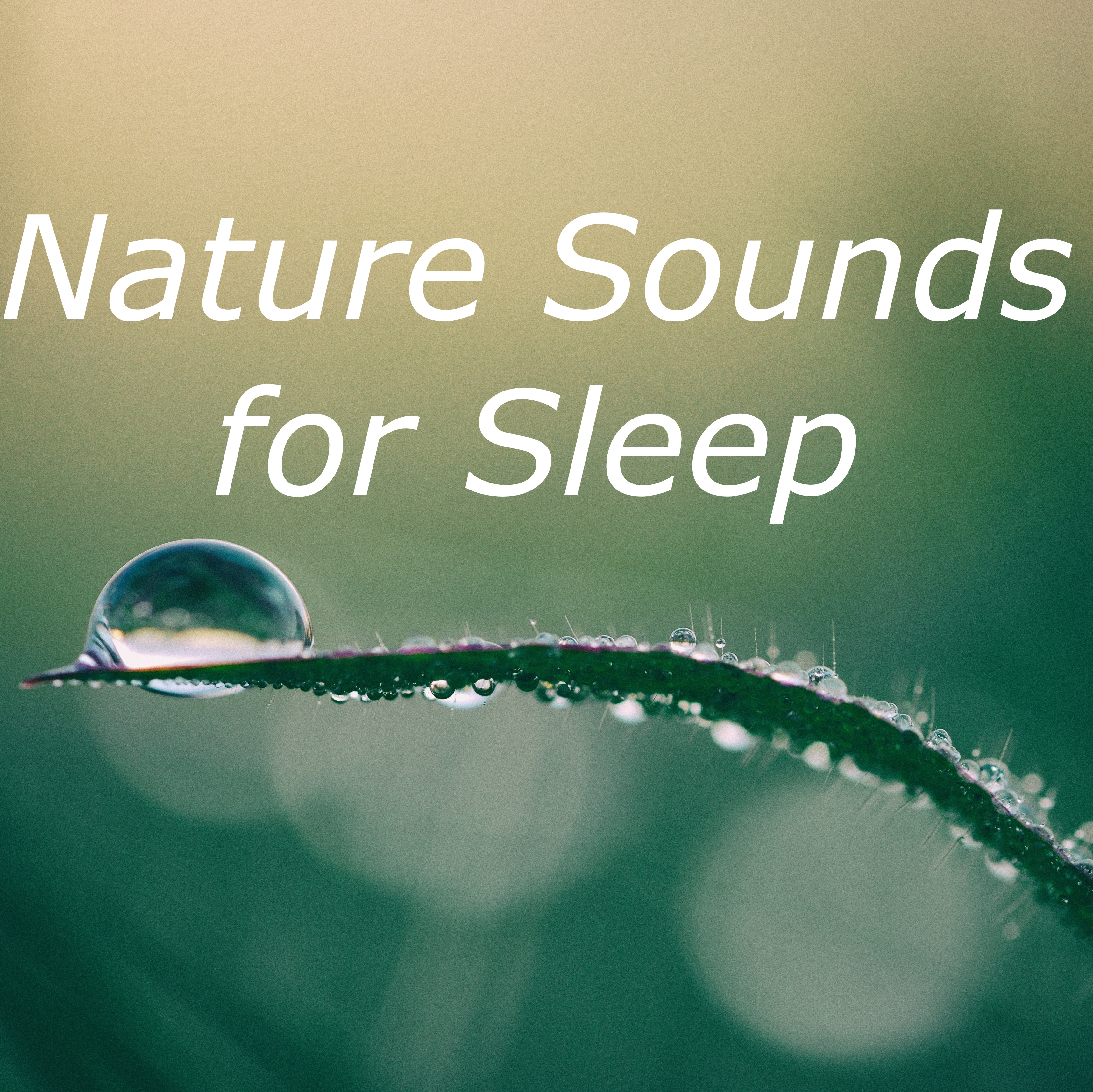 Ambient White Noise for Sleeping