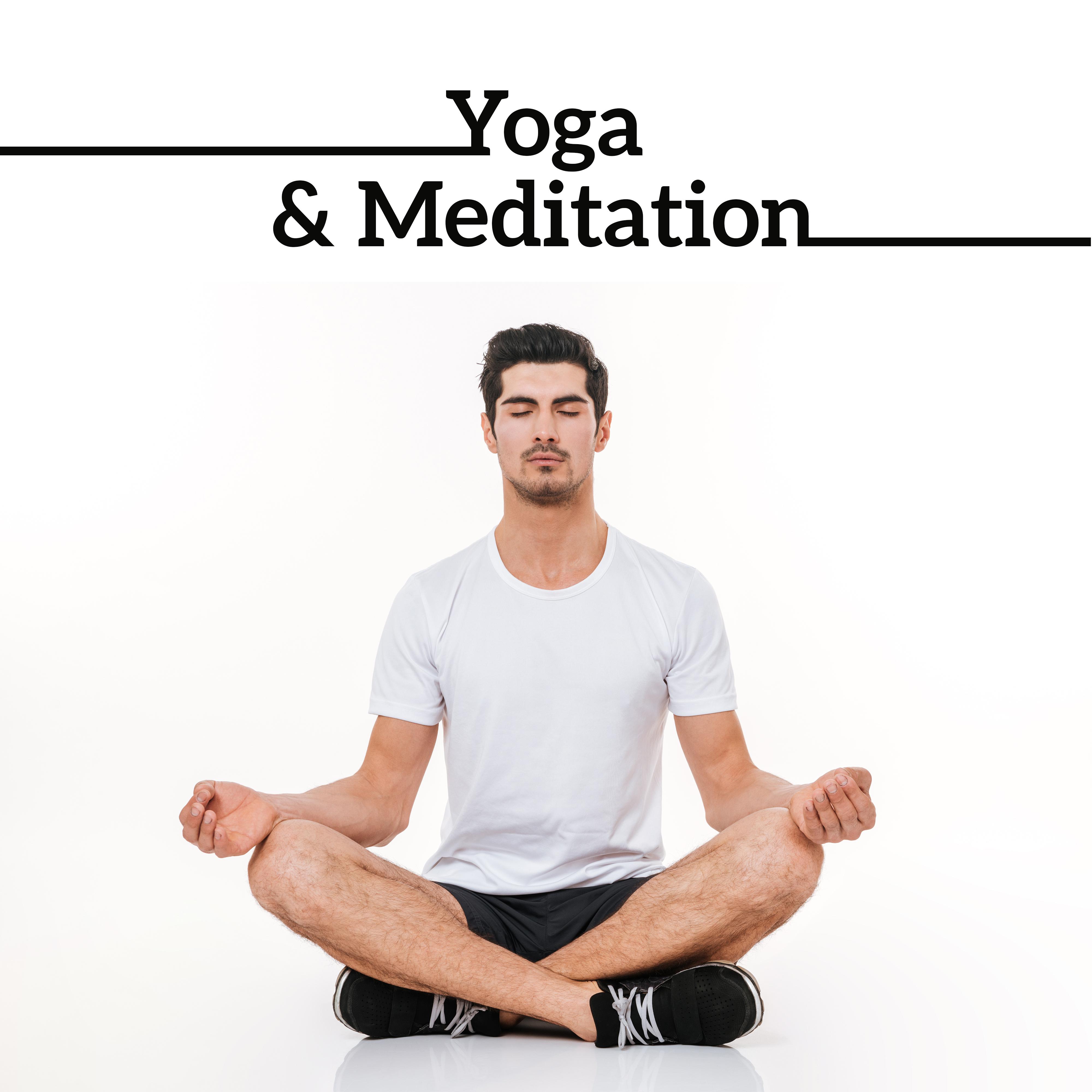 Yoga & Meditation – Reiki Music, Chakra, Harmony, Deep Concentration, Meditate, Hatha Yoga