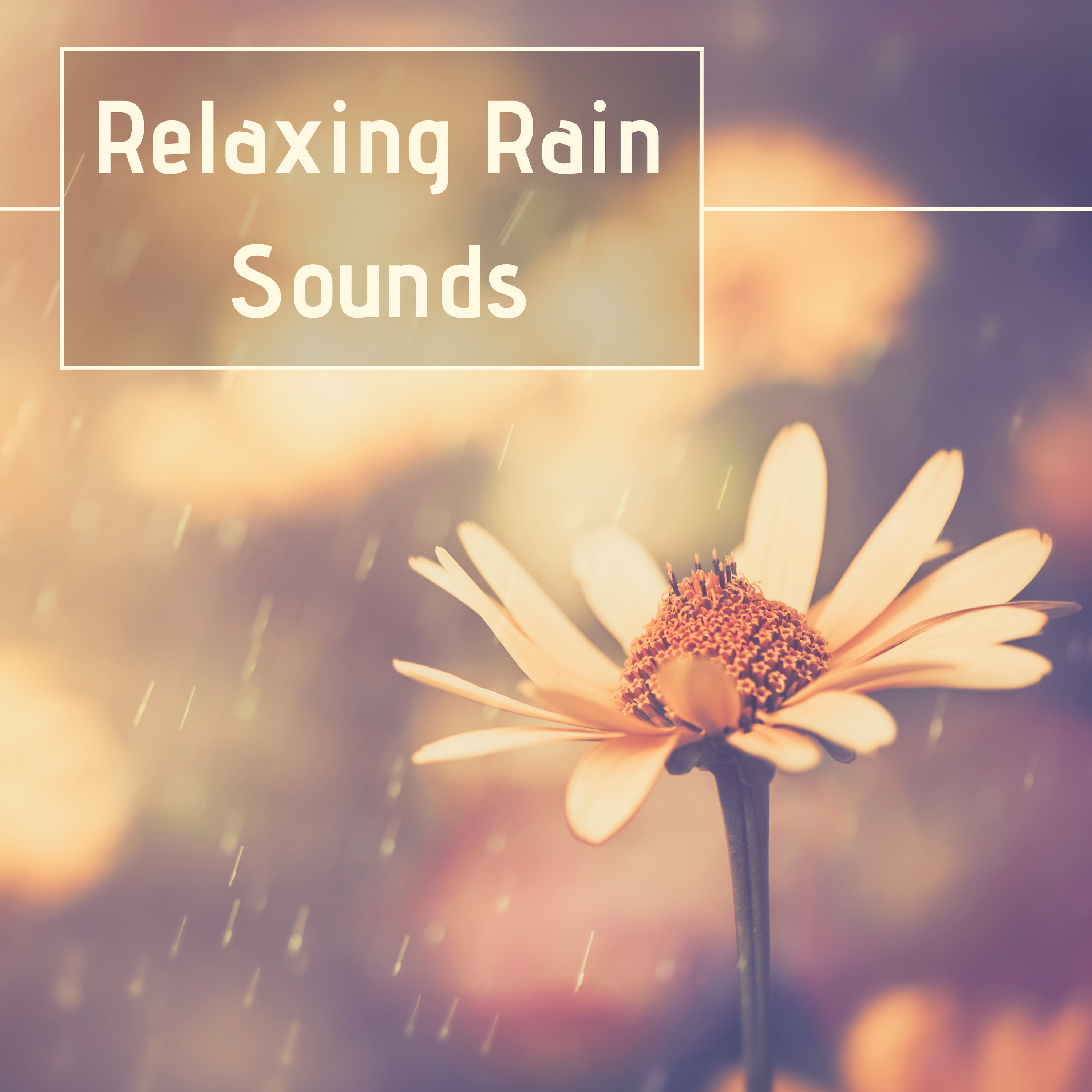 Relaxing Rain Sounds - Best Selection of Gentle Rain Sounds Help You to Relax, Meditate, Sleep