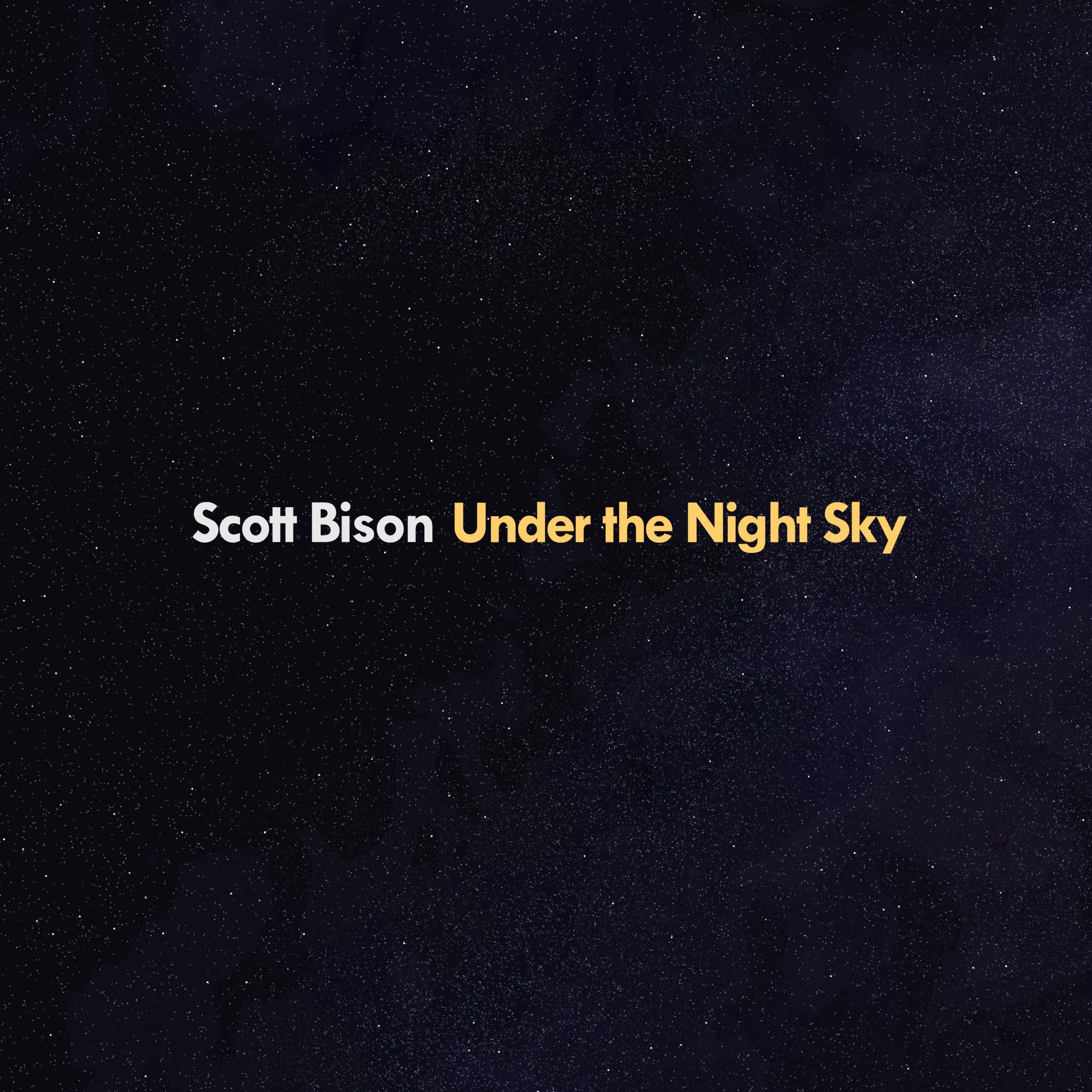 Under the Night Sky