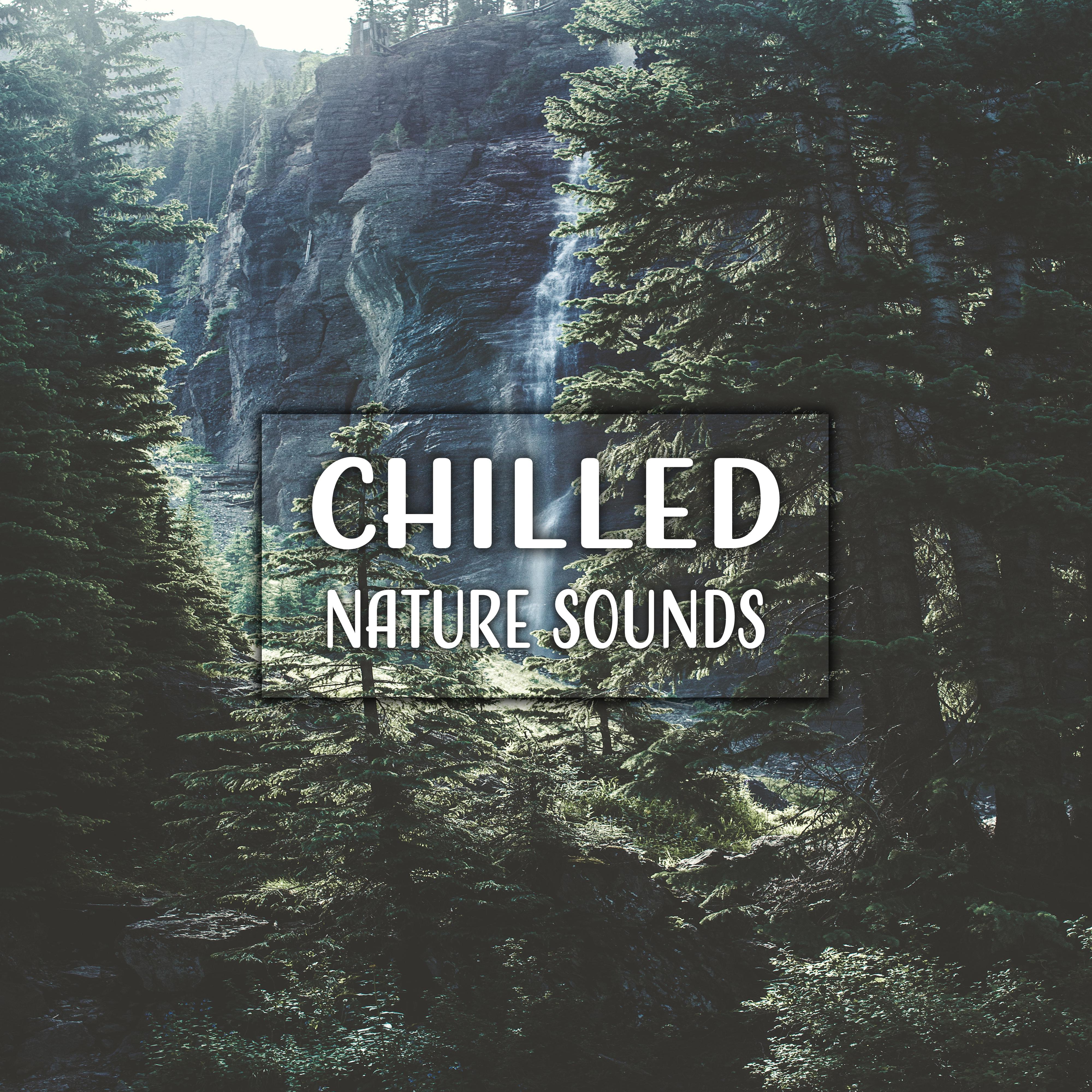 Chilled Nature Sounds – Relaxing Music, Nature Sounds, Rest, Zen, Bliss, Healing Music Therapy