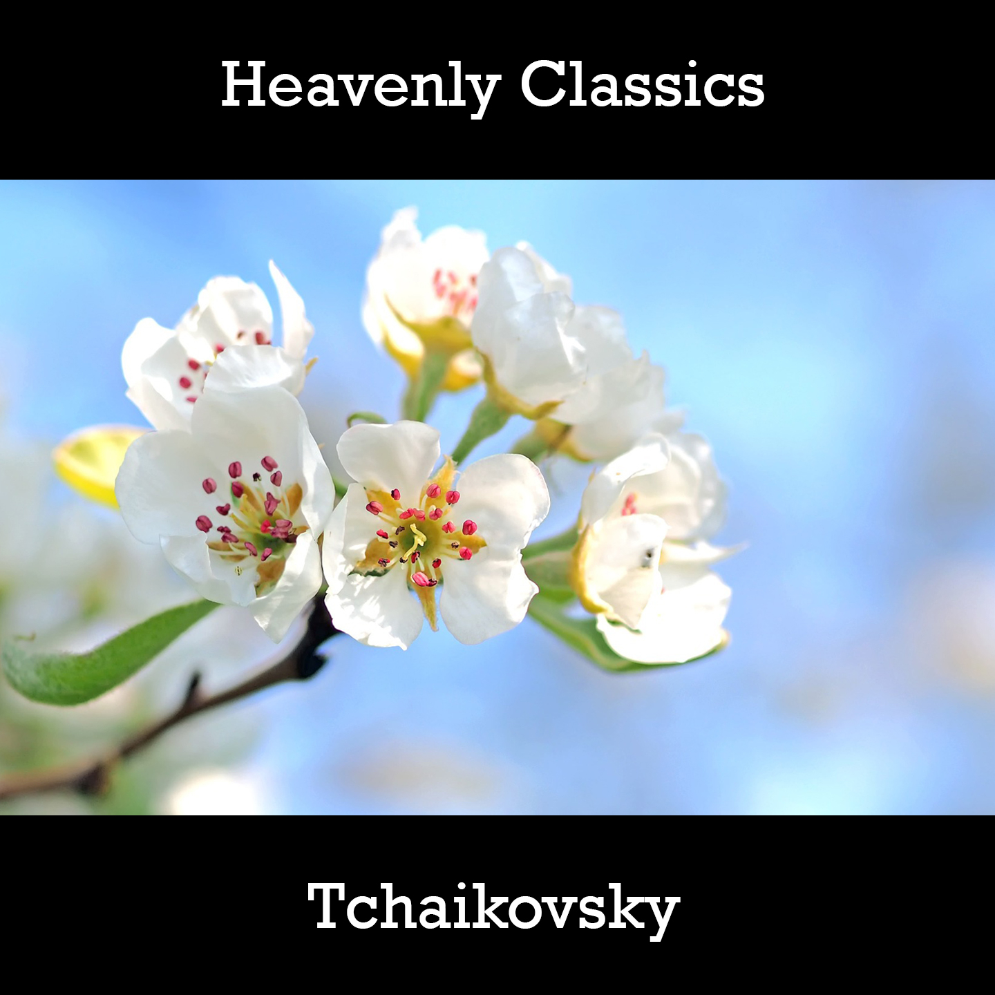 Heavenly Classics Tchaikovsky