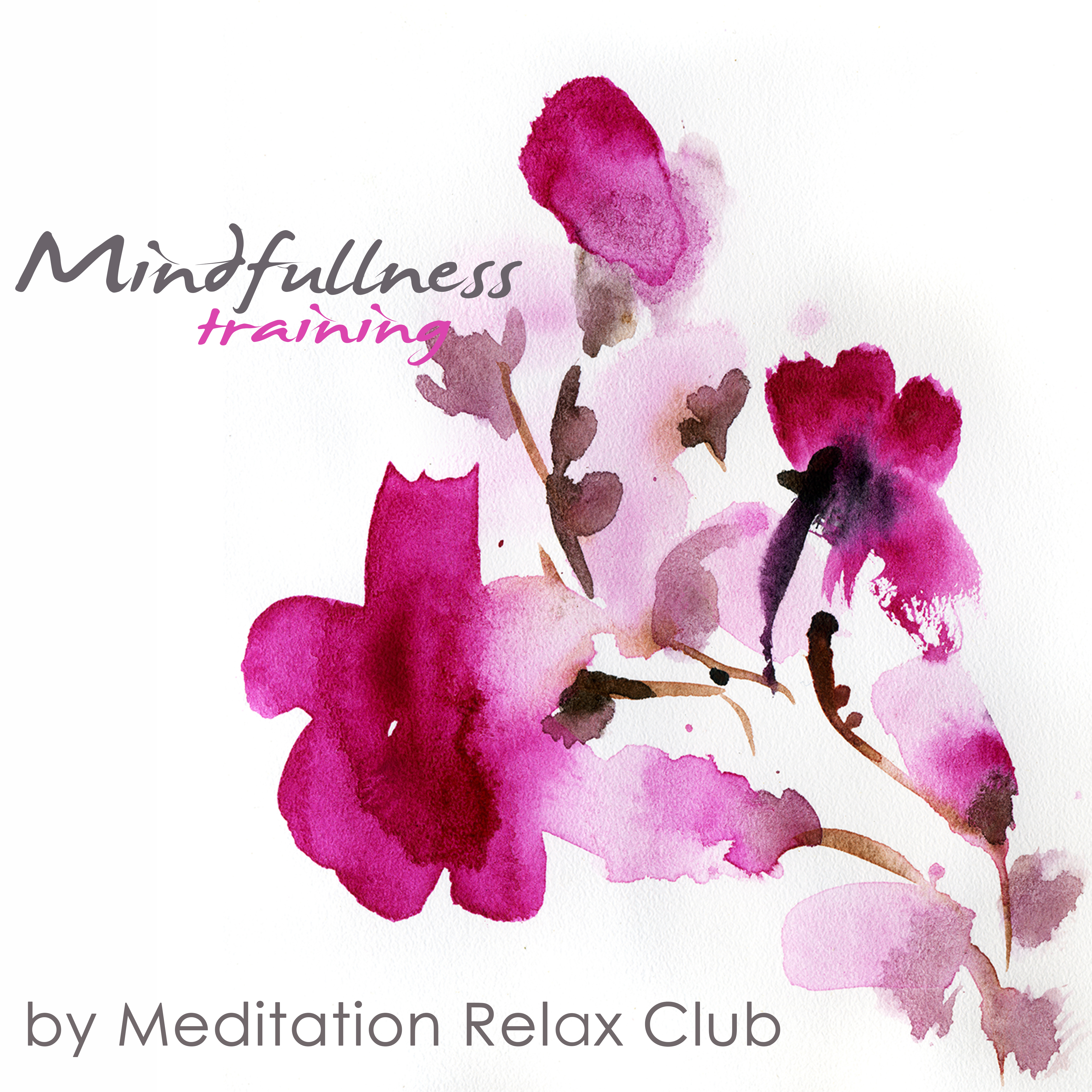 Mindfulness Training – Meditations with Nature Sounds Music