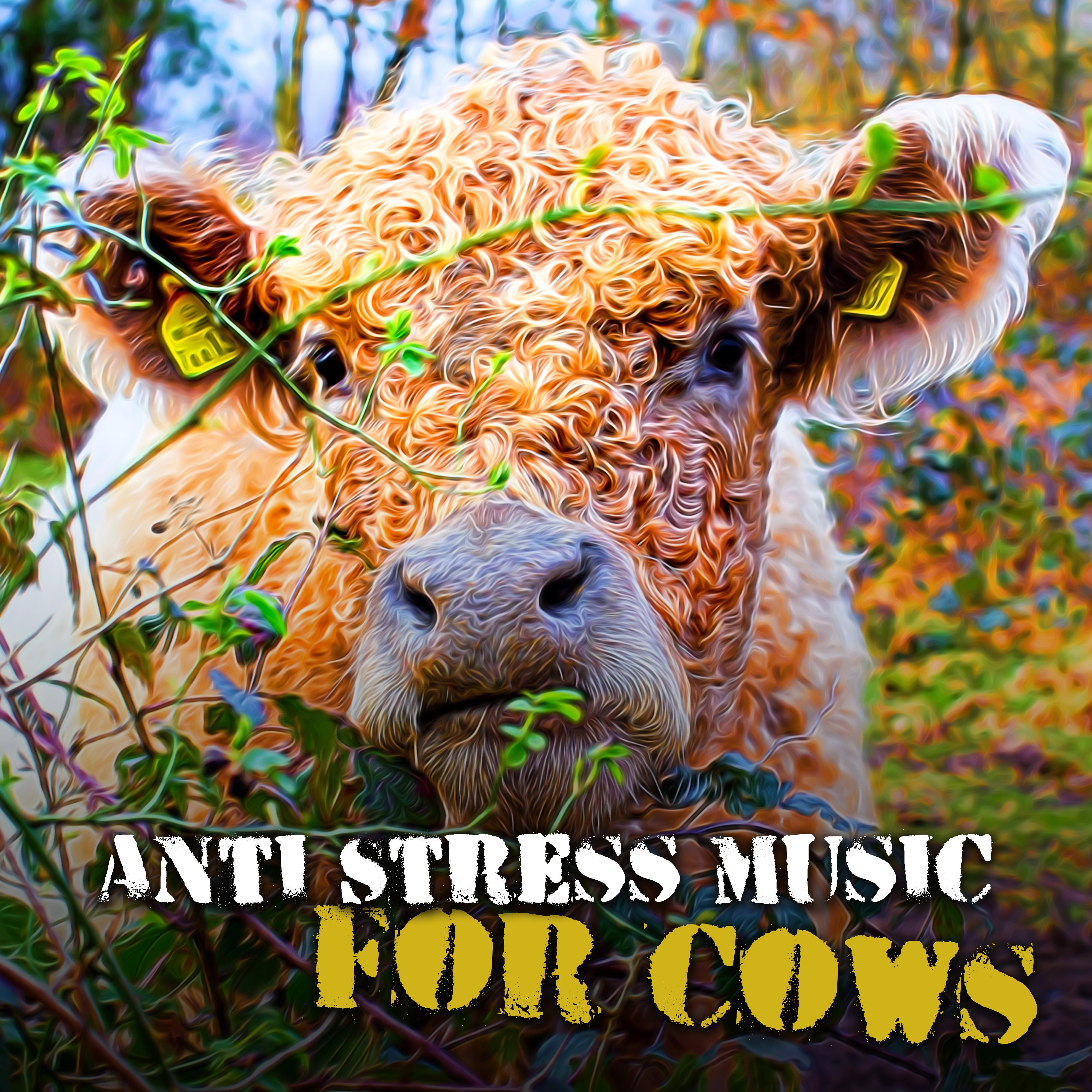 Anti Stress Music for Cows – Relaxing Music Therapy, Piano Reduces Stress, Inner Peace, Happy Animal