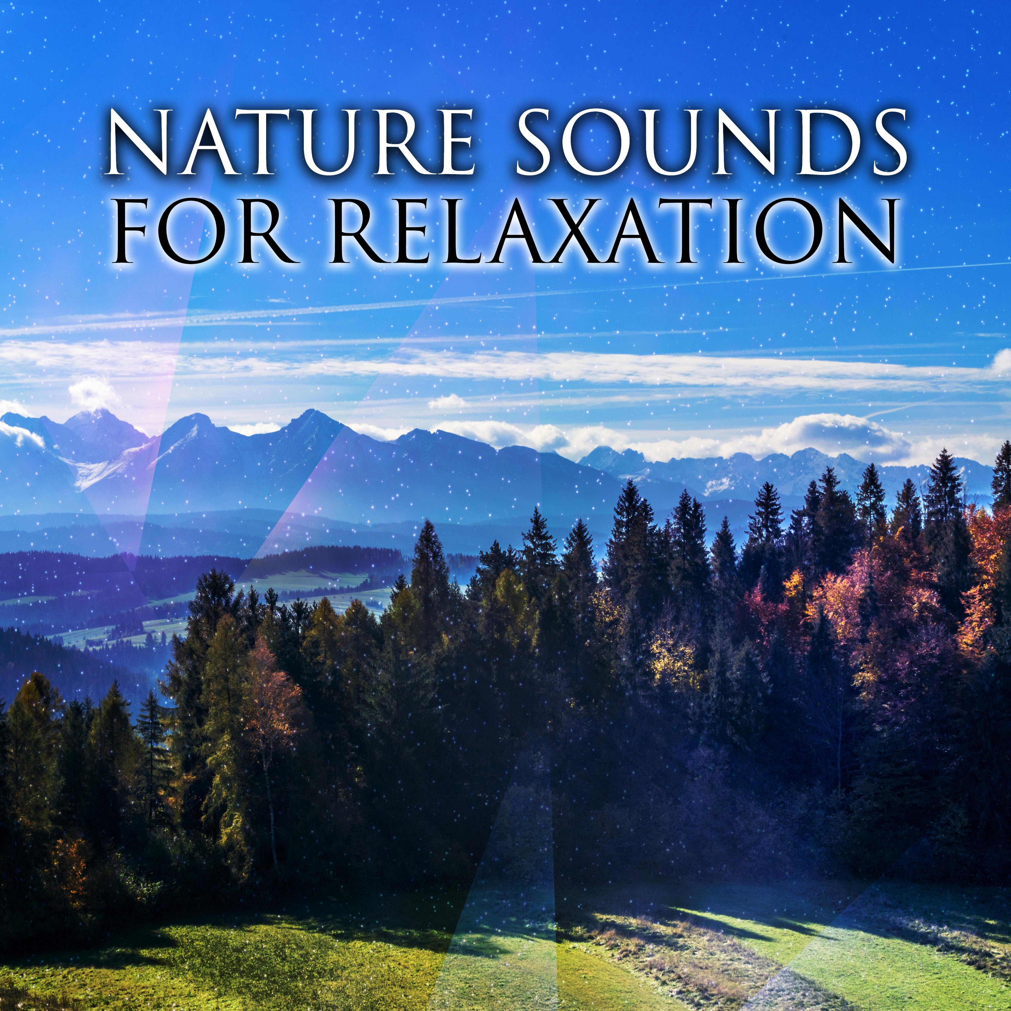 Nature Sounds for Relaxation – Peaceful Music to Rest, Calm Down with New Age Music, Nature Waves, Stress Relief