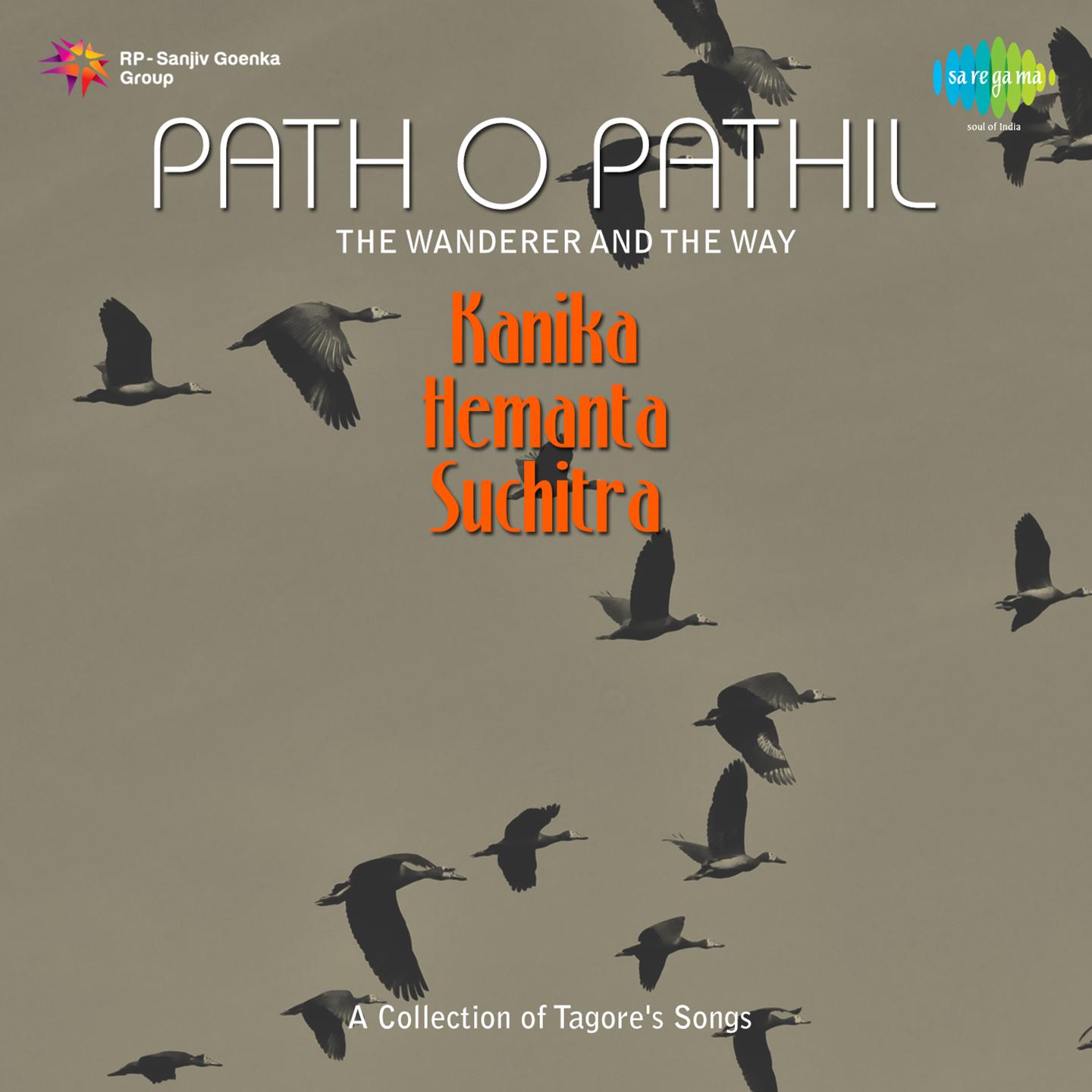 Path O Pathik The Wanderer And The Way