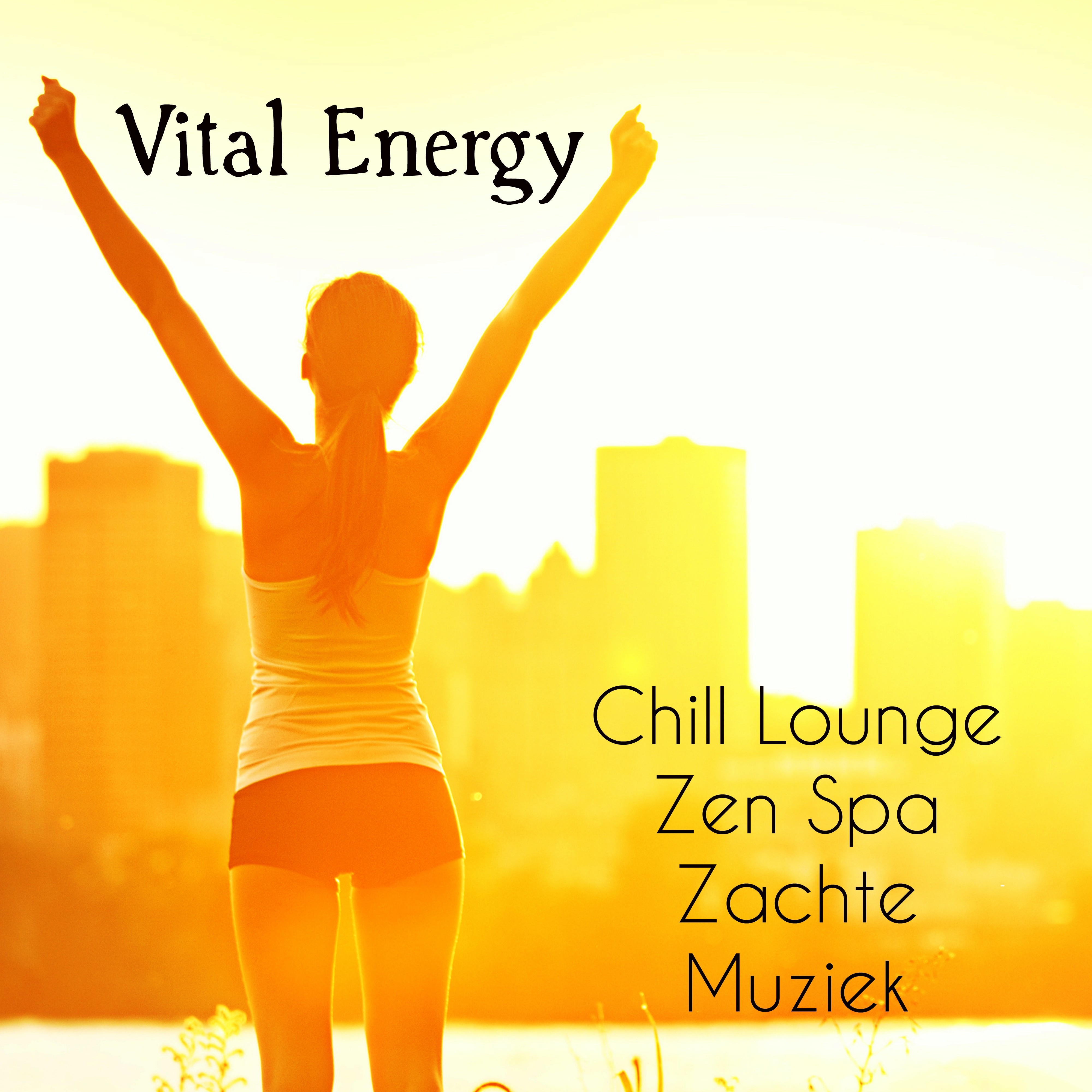 Vital Energy - Chill Zen Spa Lounge Zachte Muziek voor Dagelijkse Meditatie Wedergeboorte en Mentale Gezondheid