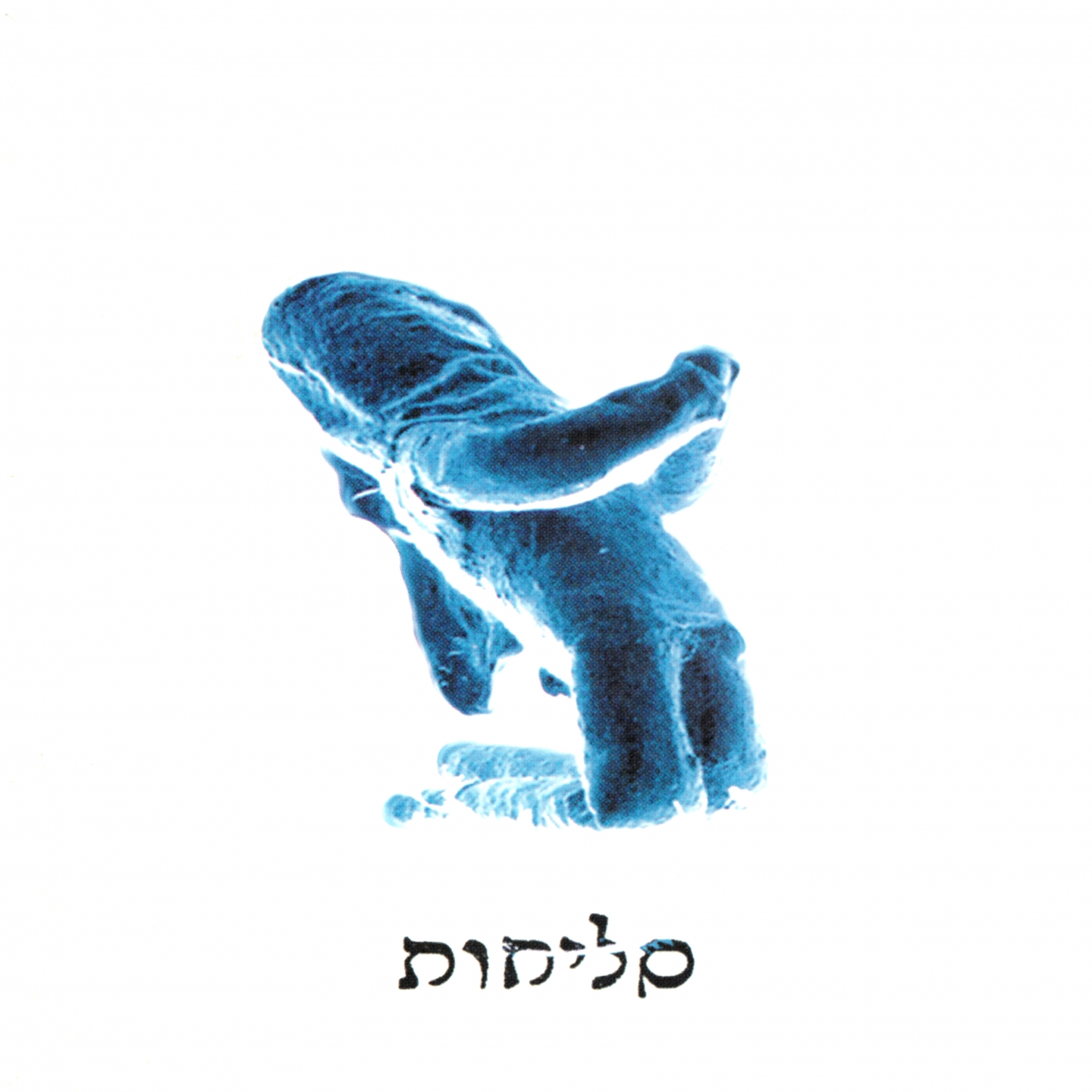 לך אלי