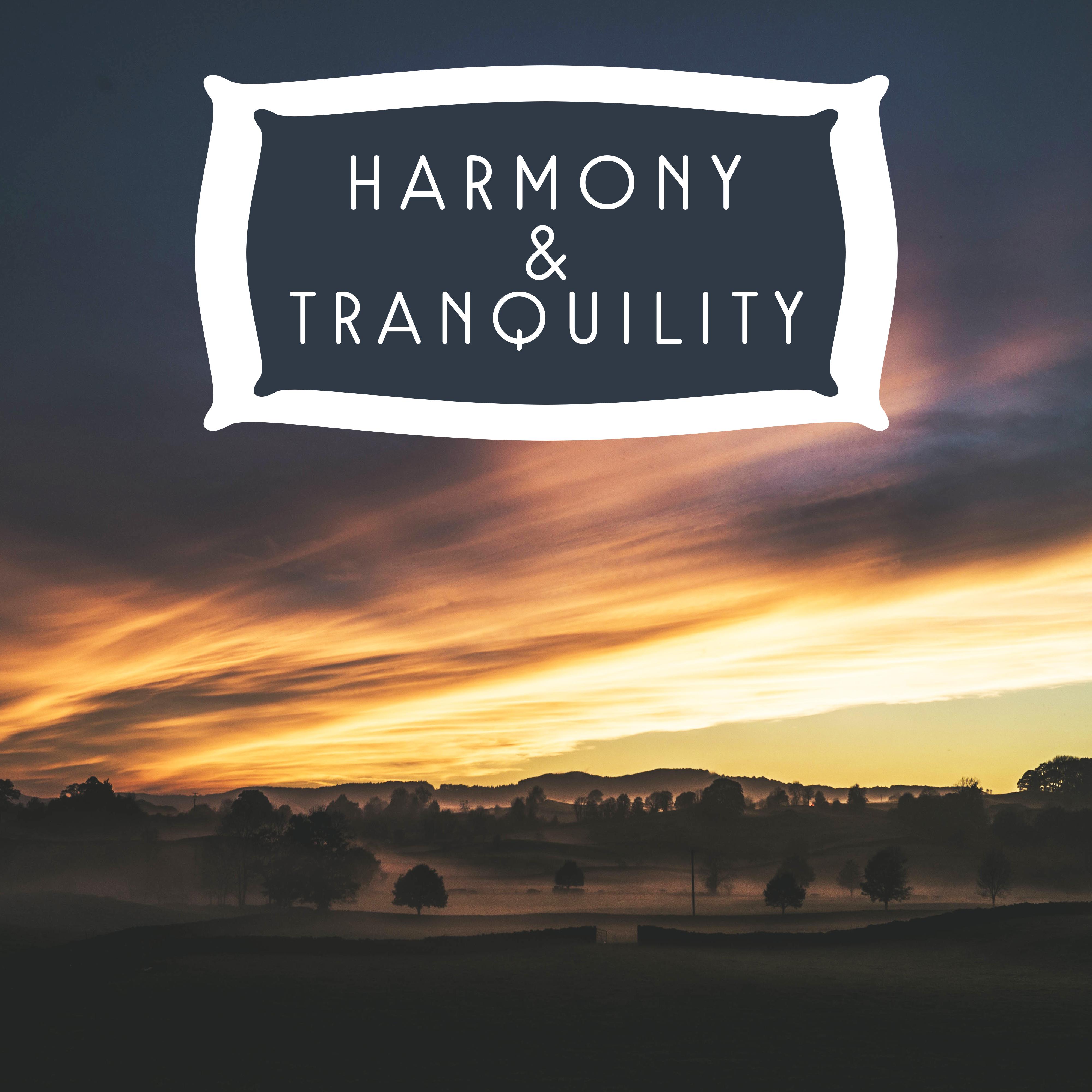 Harmony & Tranquility – Zen Music, Pure Relaxation, Stress Relief, Buddha Lounge, Inner Power, Healing Music to Calm Down, Pure Mind