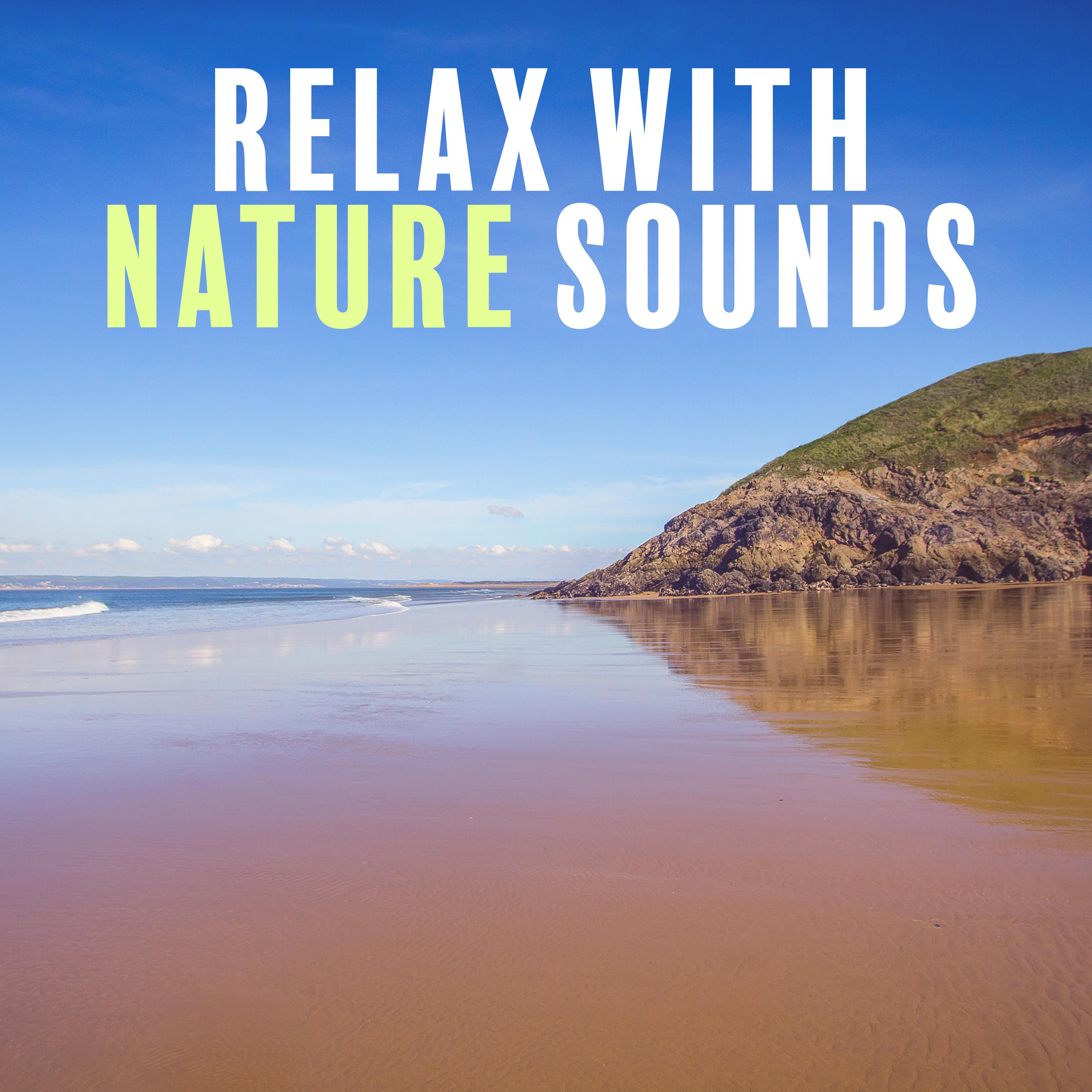 Relax with Nature Sounds – Waves of Calmness, Peaceful Music, Nature Sounds to Stress Relief, New Age Music