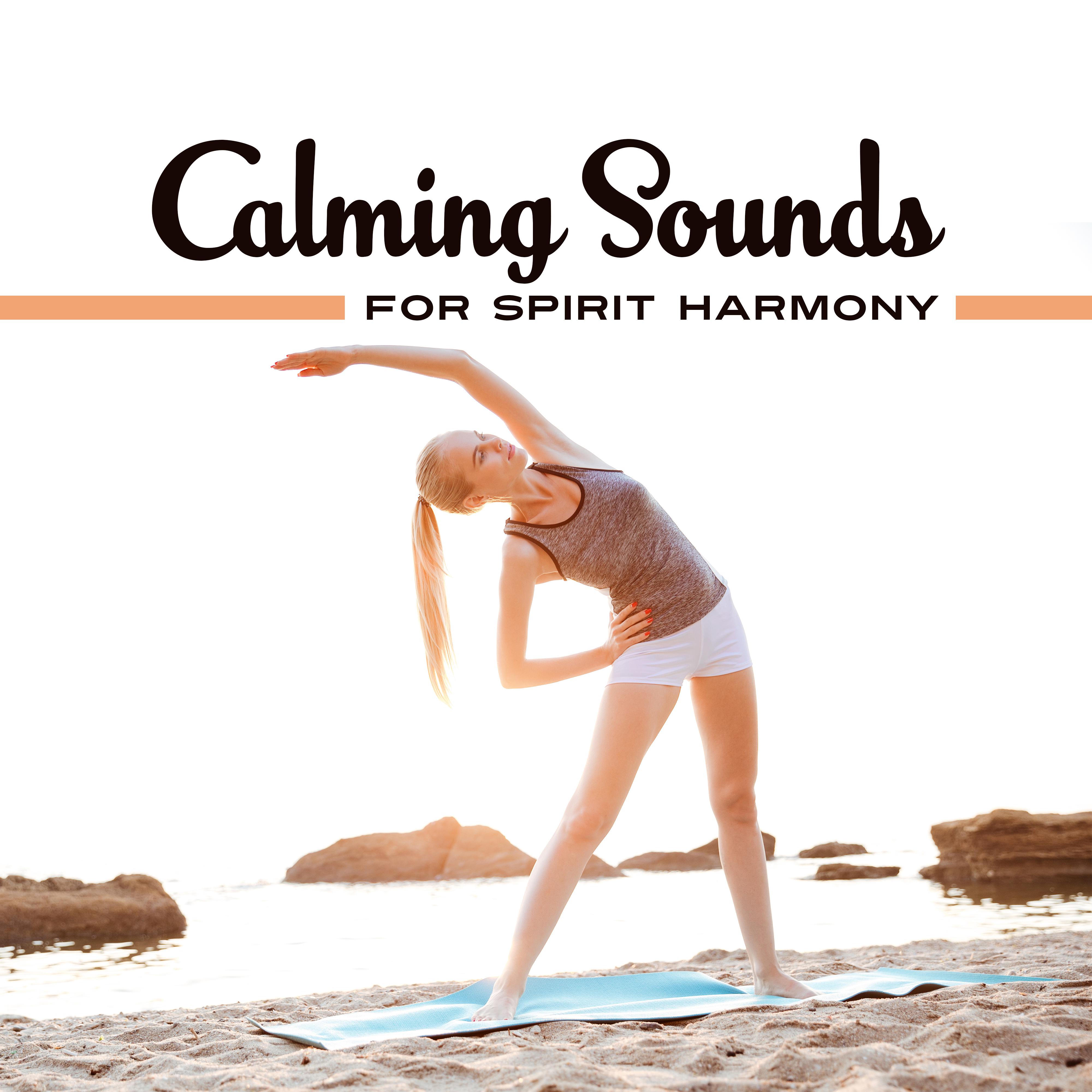 Calming Sounds for Spirit Harmony – Easy Listening, Stress Relief, Meditation Sounds, Peaceful Spirit Journey