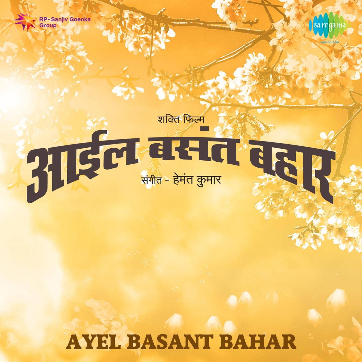 Ayel Basant Bahar