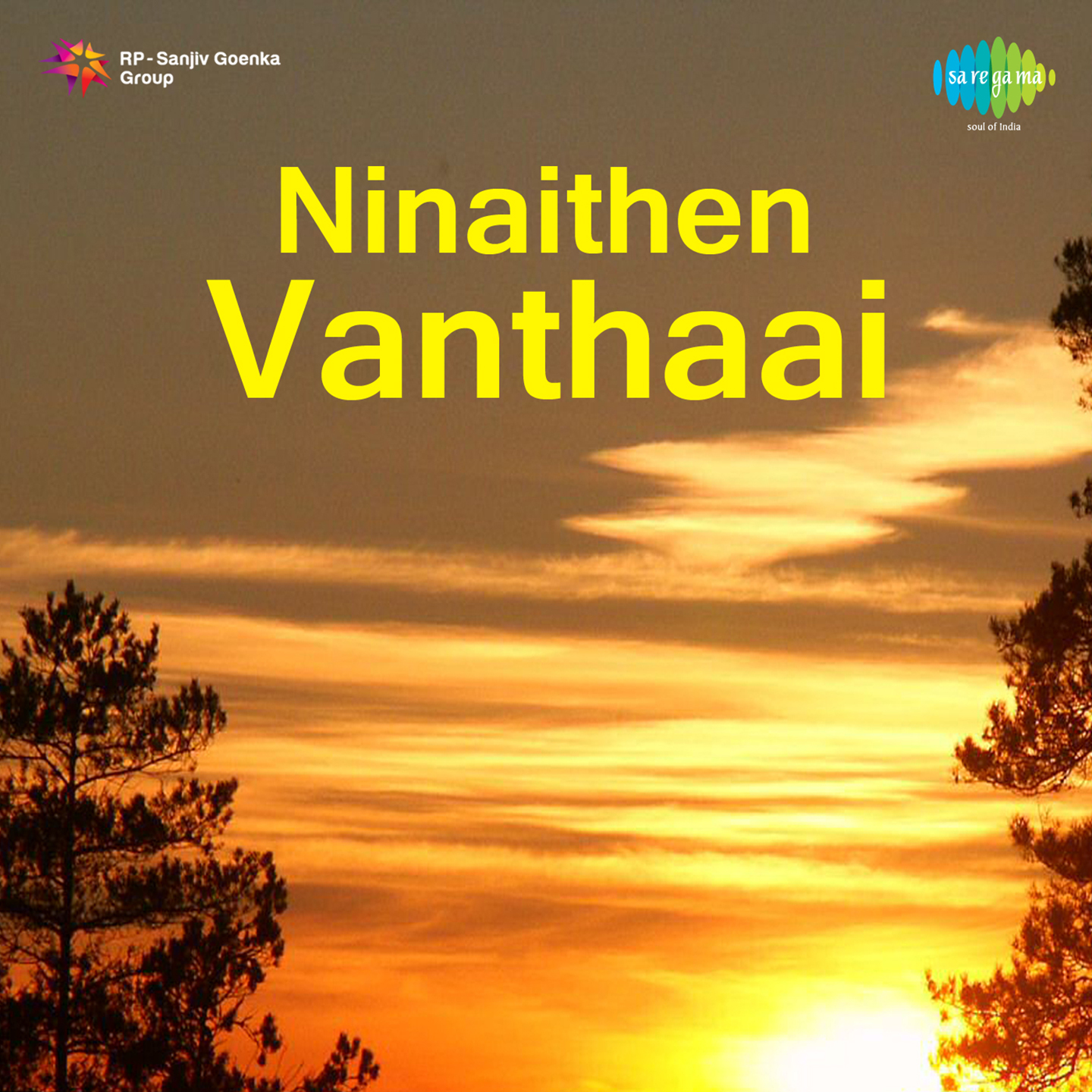 Ninaithen Vanthaai