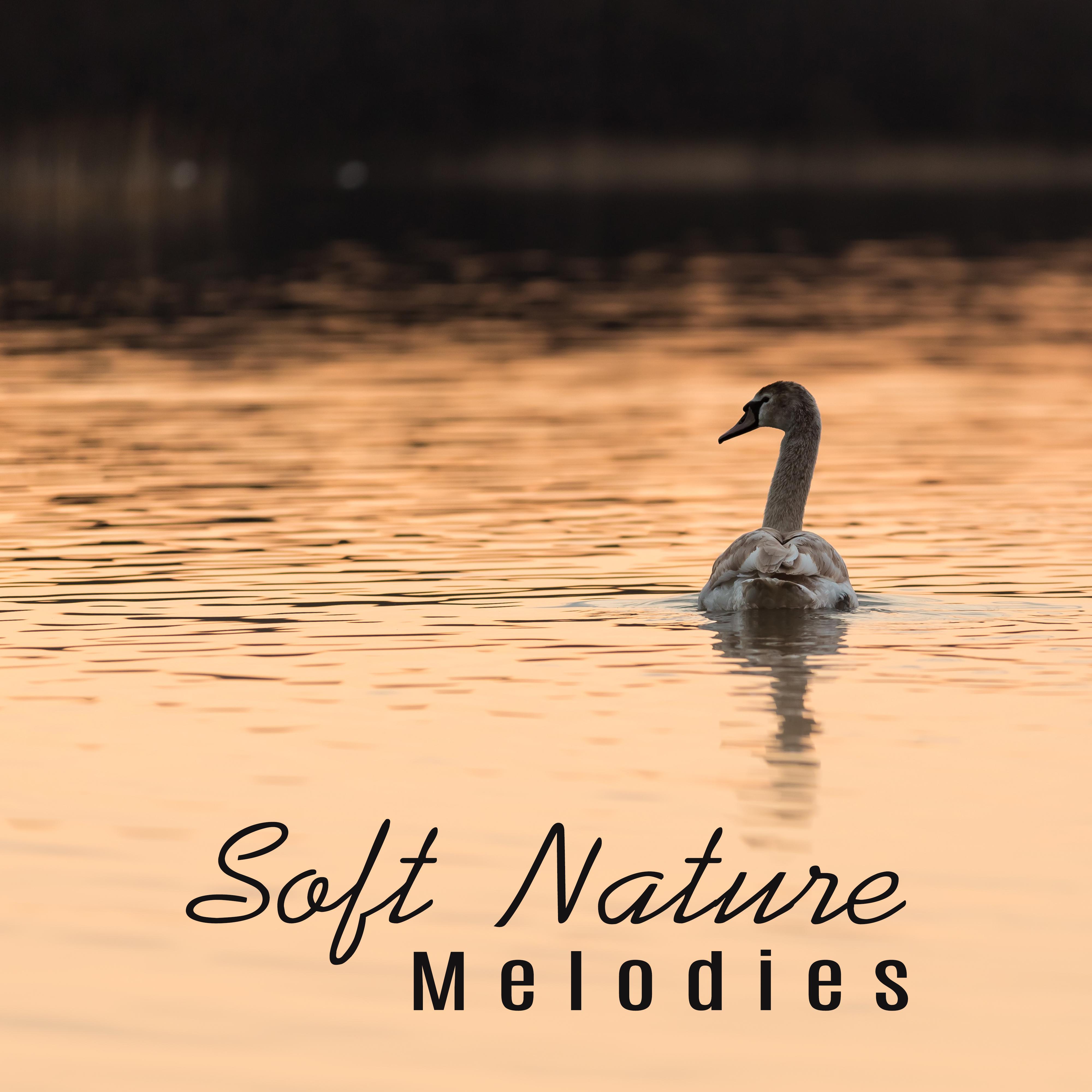 Soft Nature Melodies – Healing Sounds, Music for Mind Rest, Inner Relaxation, Peaceful Waves, No More Stress
