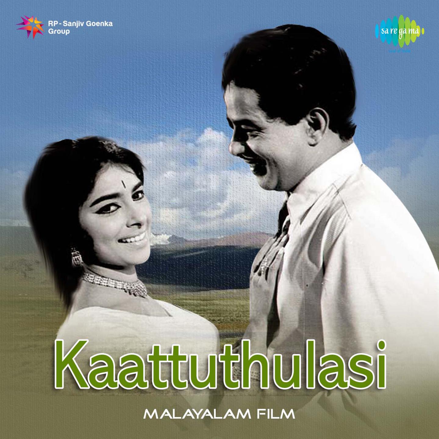 Kaattuthulasi