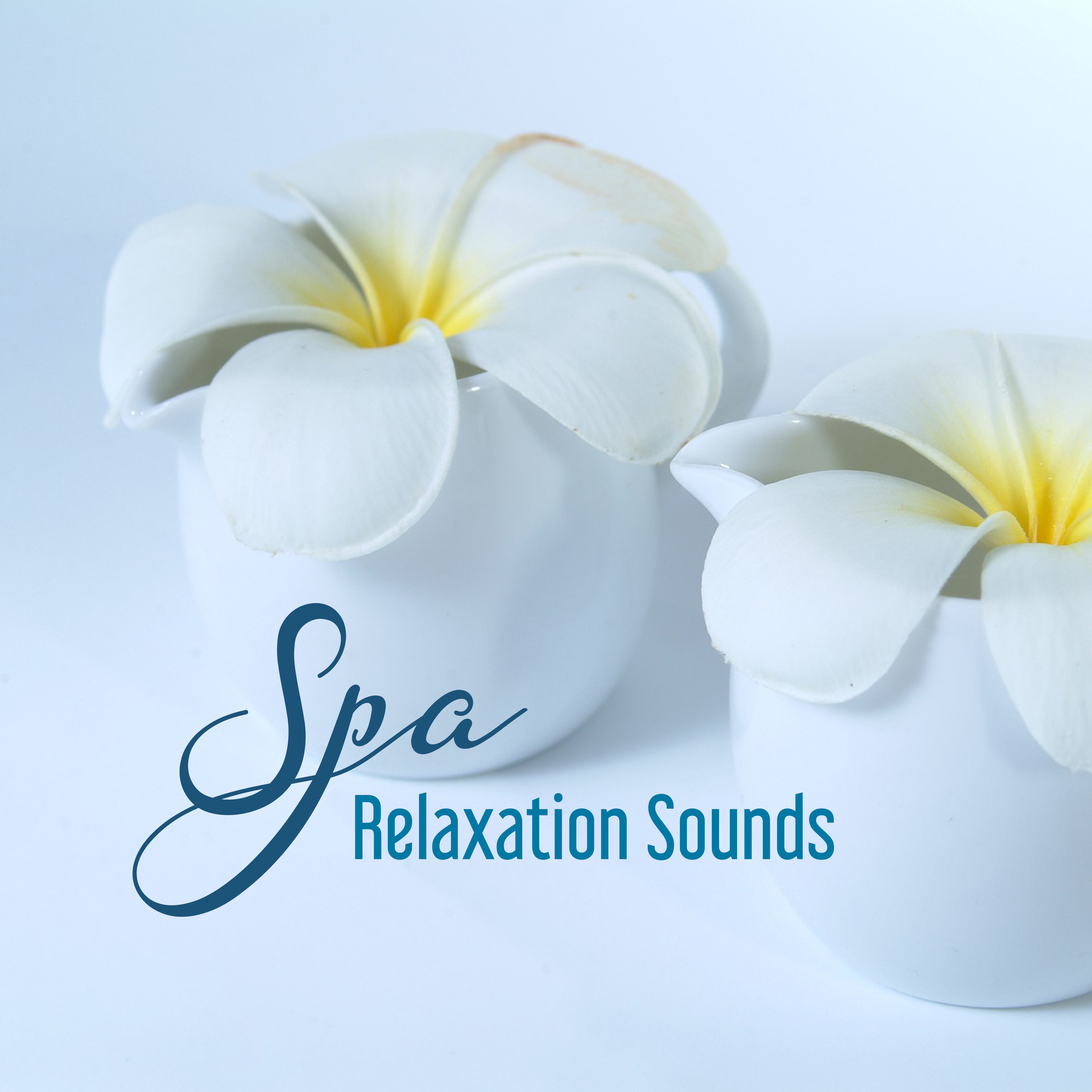 Spa Relaxation Sounds – Beautiful Memories, Soothing Sounds, Music to Rest & Relax
