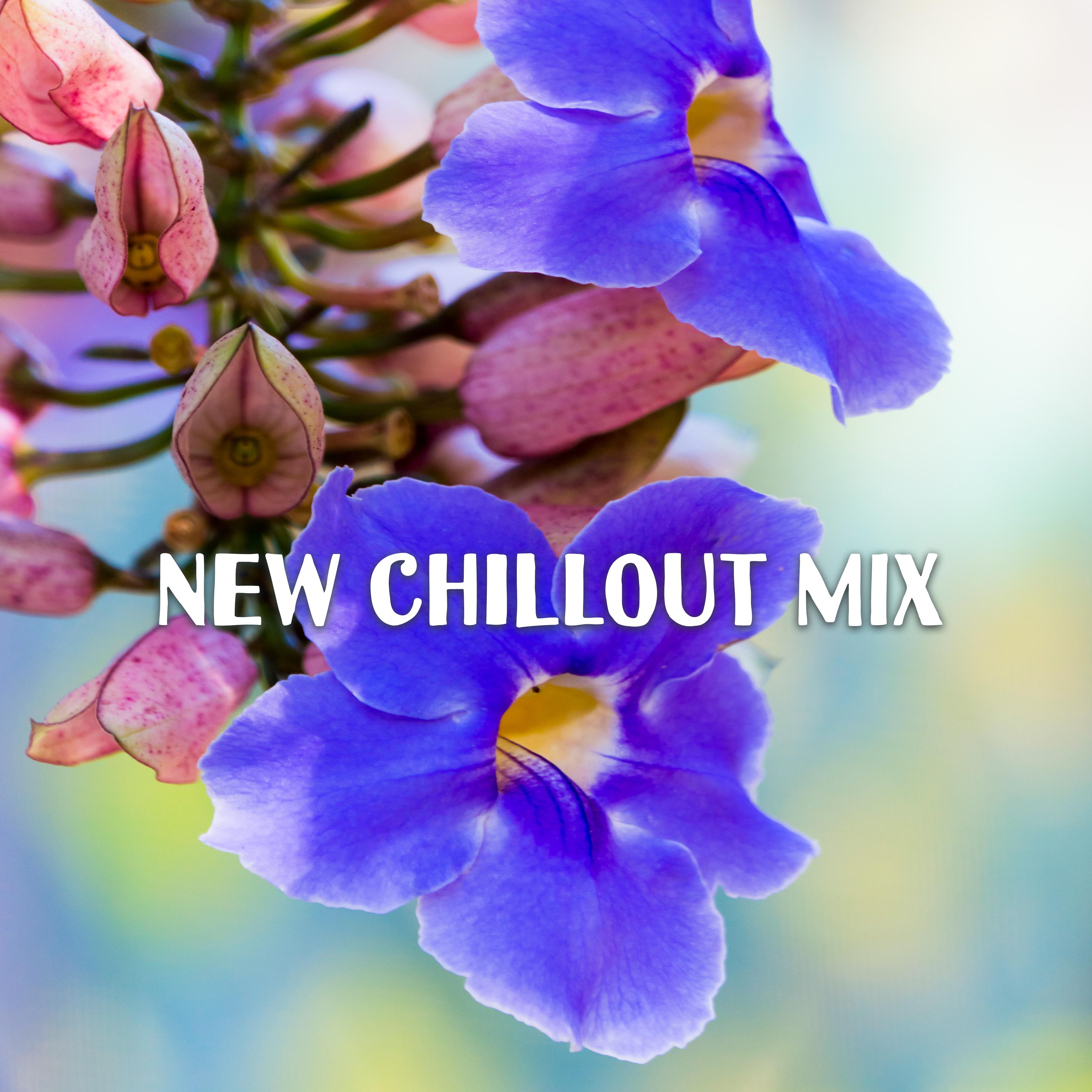 New Chillout Mix – Chillout Music , Deep Relaxation, Summertime Chill Out 2017, Party Hits Lounge