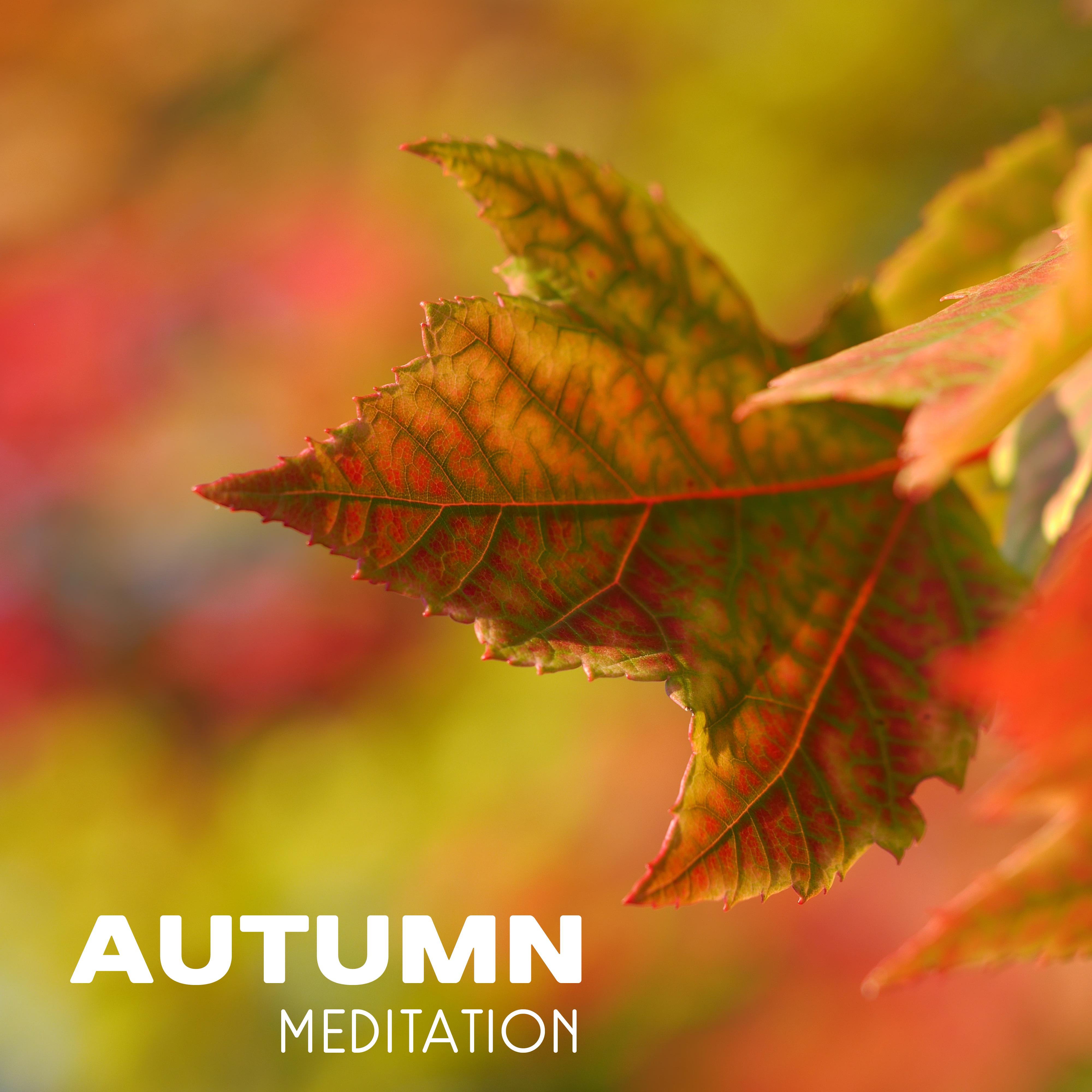 Autumn Meditation – Music for Yoga, Meditaion, Mantra, Mindfulness Training, Relaxation with Nature Sounds