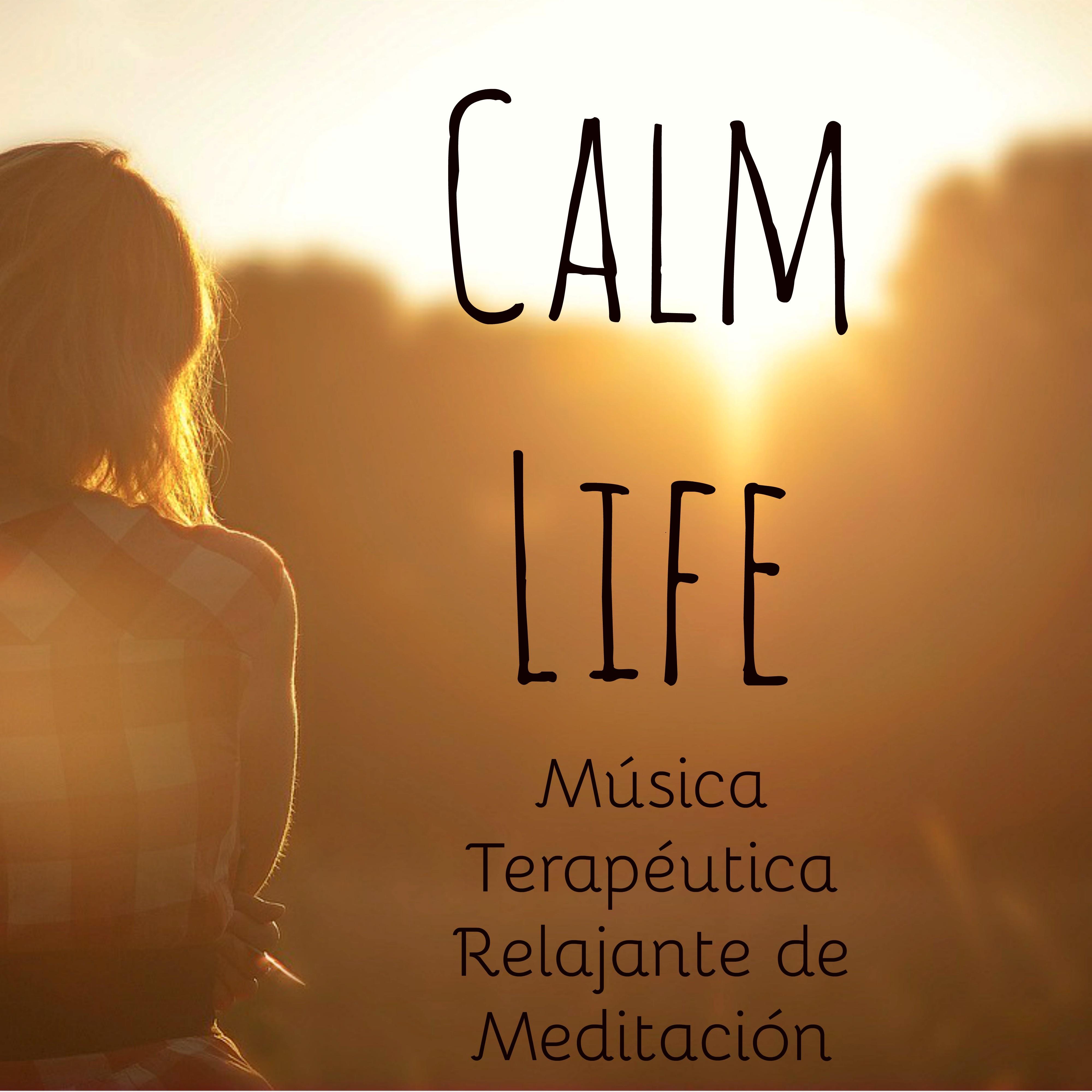 Calm Life - Música Terapéutica Relajante de Meditación para Tratamiento de Bienestar Estudio Mejor y Séptimo Chakra con Sonidos Naturales Instrumentales Espirituales