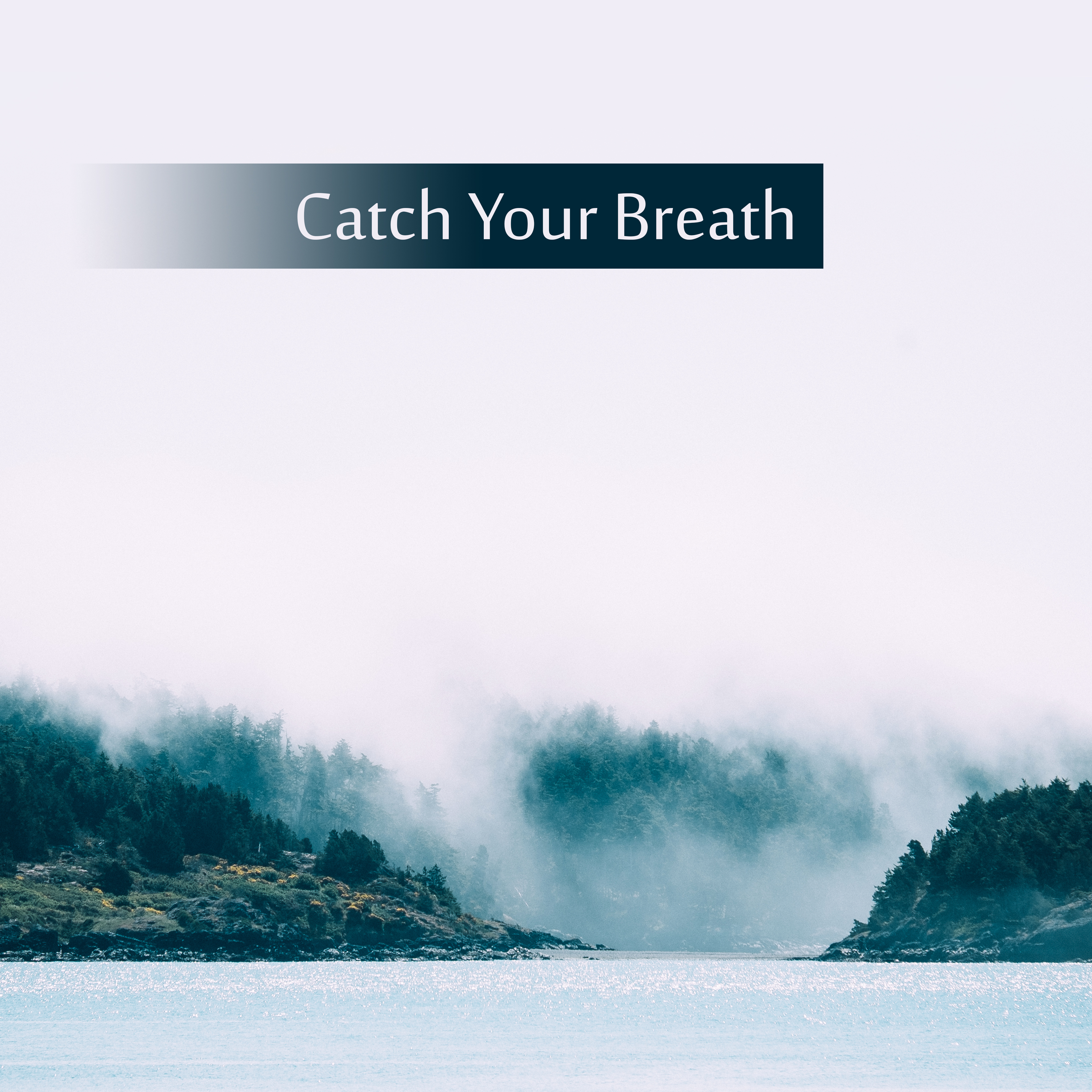 Catch Your Breath – Soft Music for Relaxation, Healing, Sleep, Zen, Pure Mind, Soothing Sounds to Rest, Deep Sleep, Inner Harmony