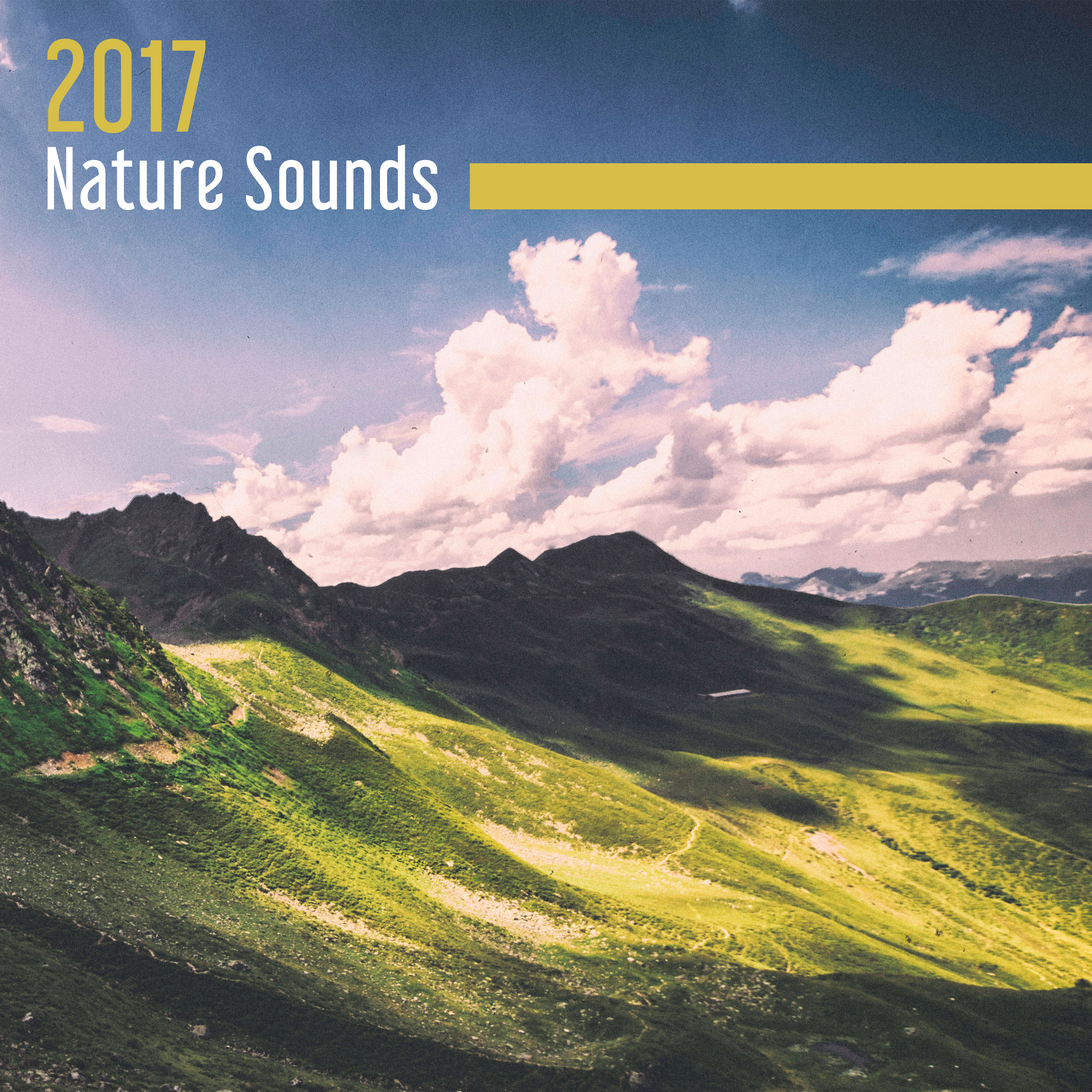 2017 Nature Sounds – Deep Healing Nature Relaxing Music Therapy for Stress Relief and Tranquility
