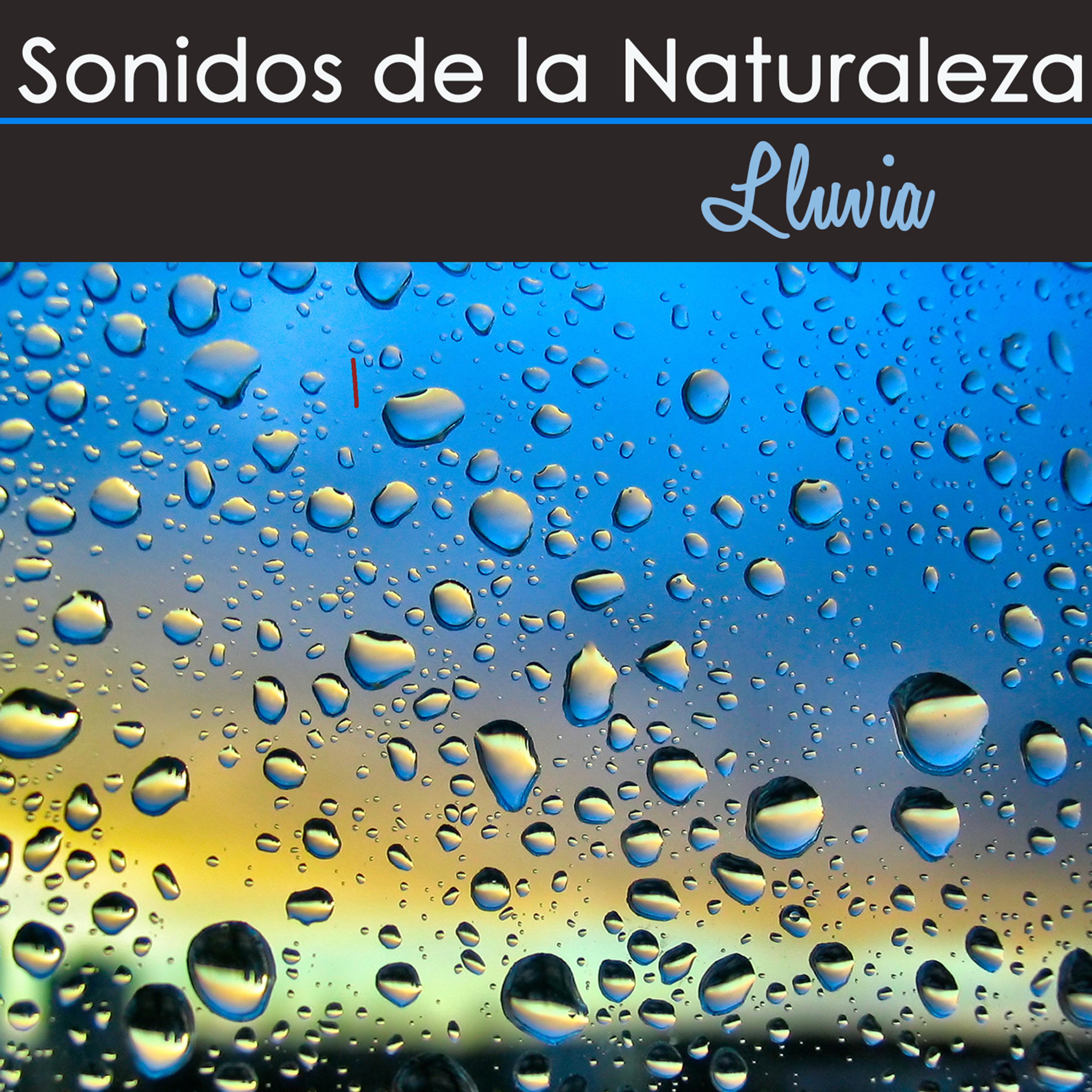 Sonidos de la Naturaleza – Lluvia, Musica Relajante con Sonidos de la Lluvia