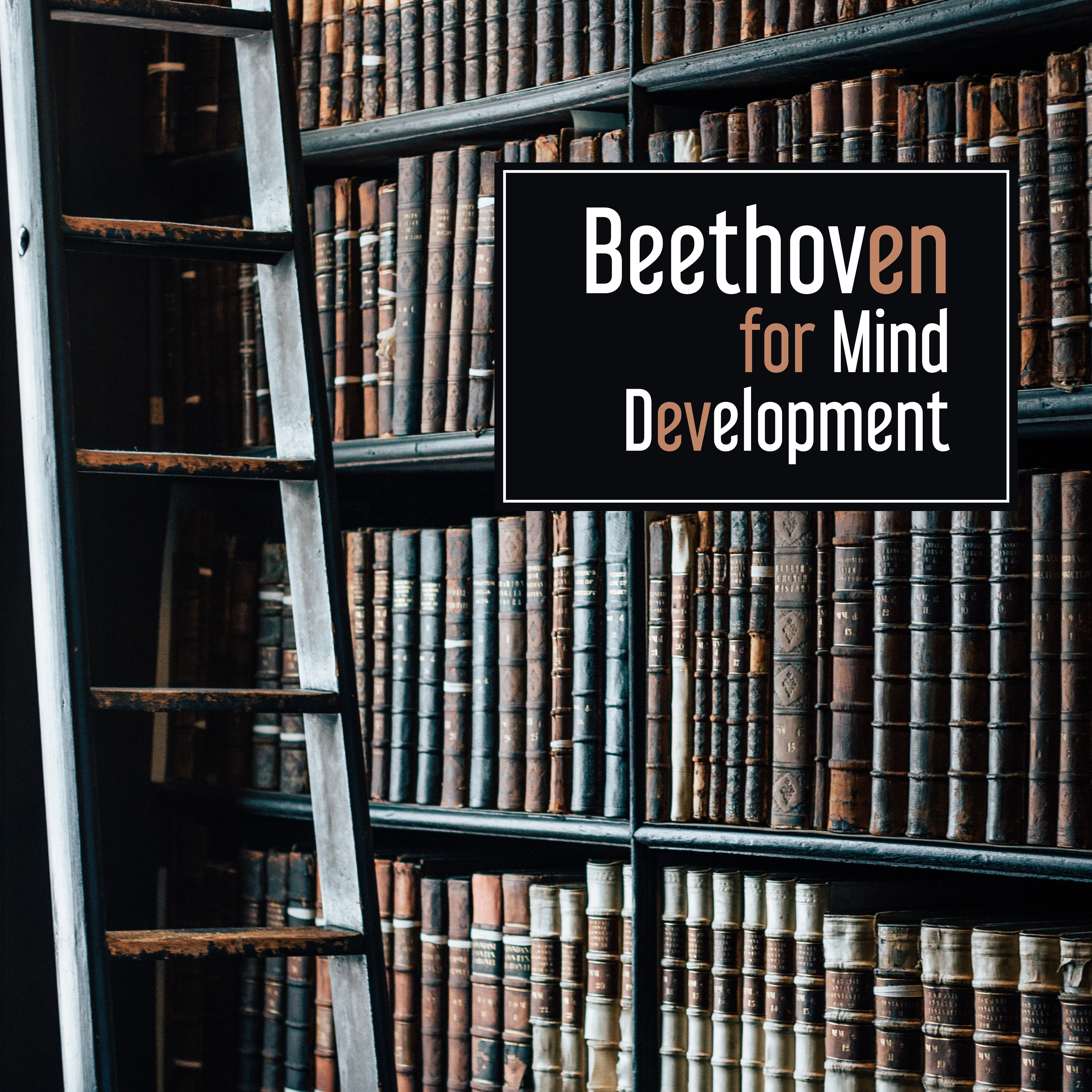 Beethoven for Mind Development – Classical Music to Relief Stress, Focus on Study, Learning Fast