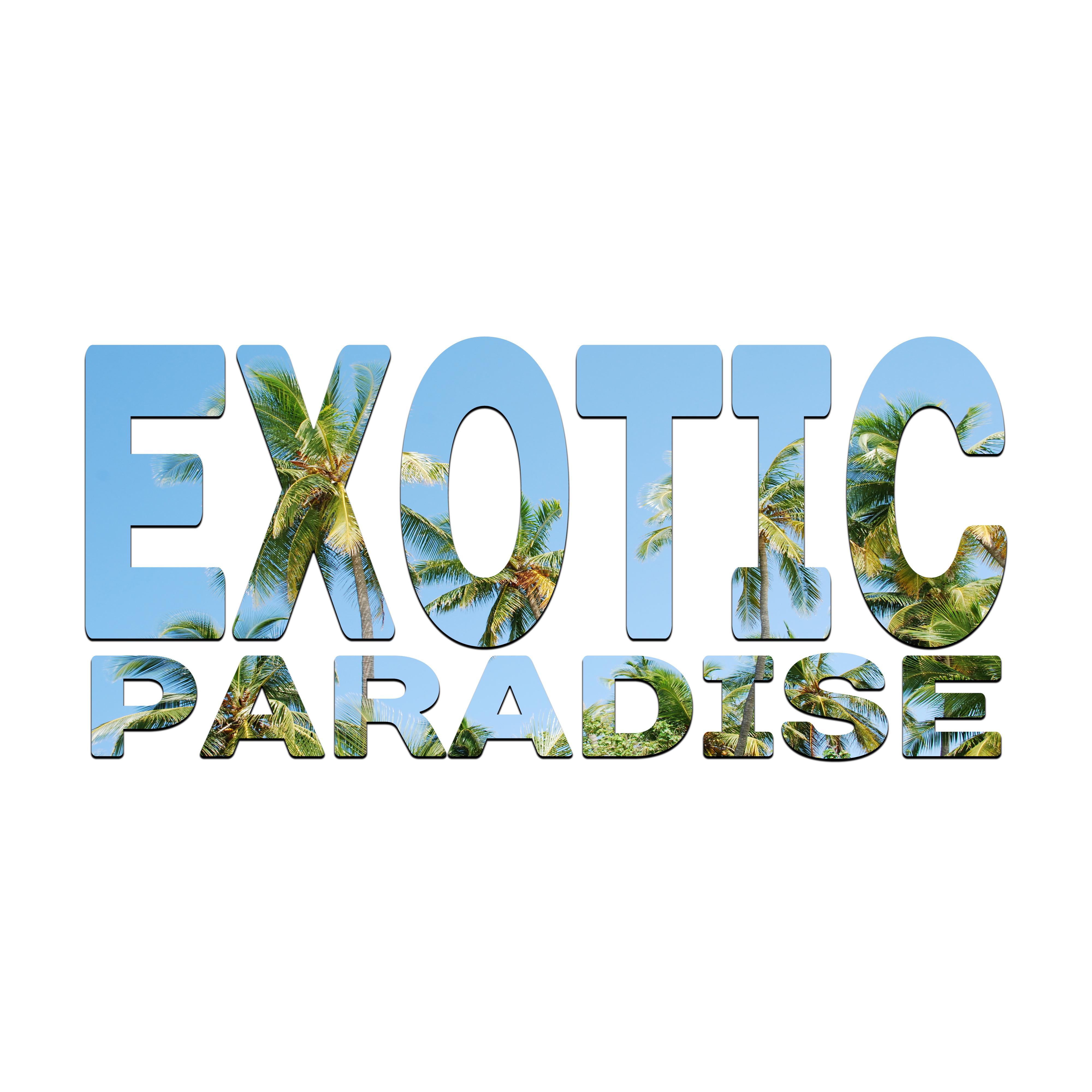 Exotic Paradise – Beach Party, Ibiza Dance Party, Summer Beats, Deep Vibes, *** Music, Sensual Dance