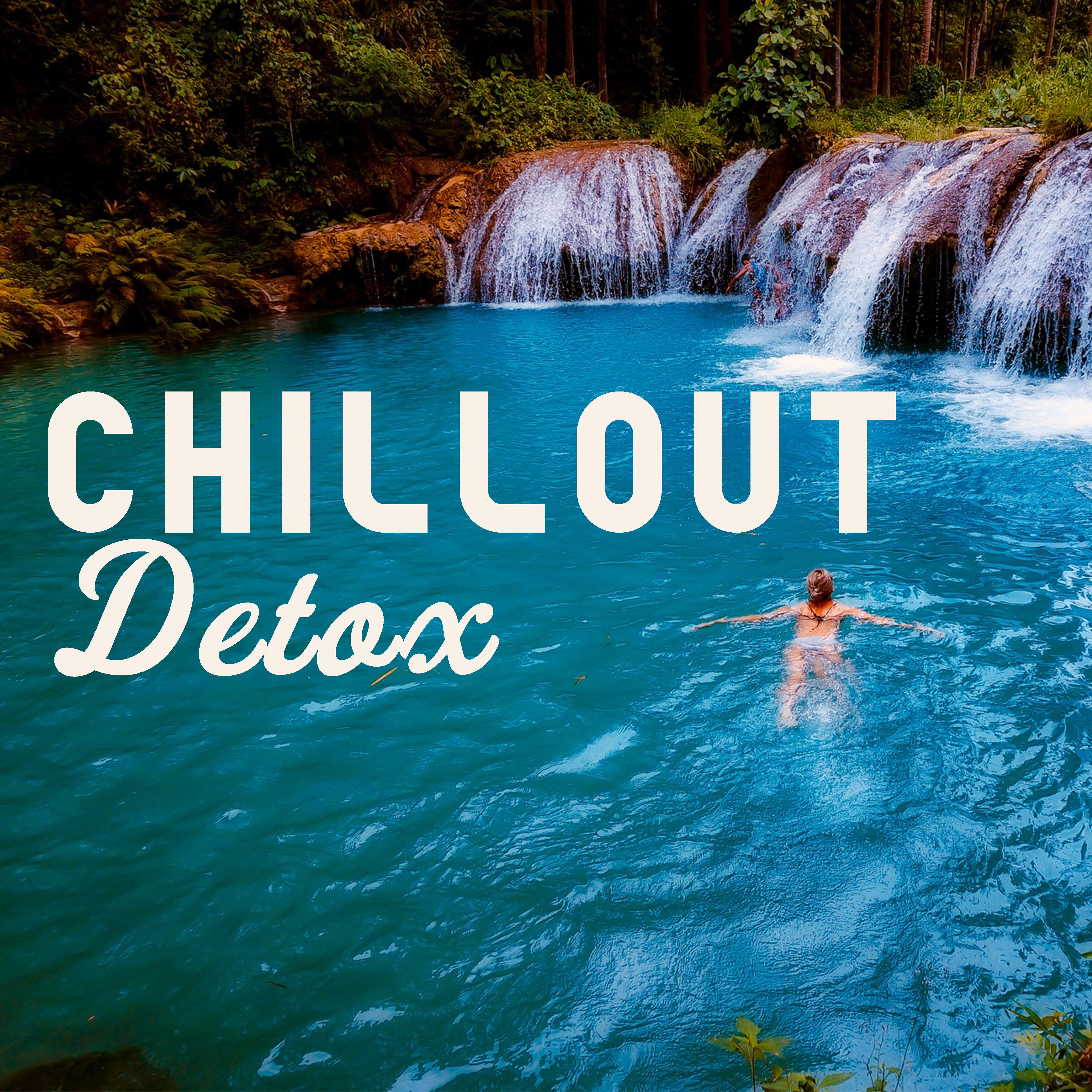 Chillout Detox – Total Relaxation, Chill Out 2017, Selected Music, Rest, Zen