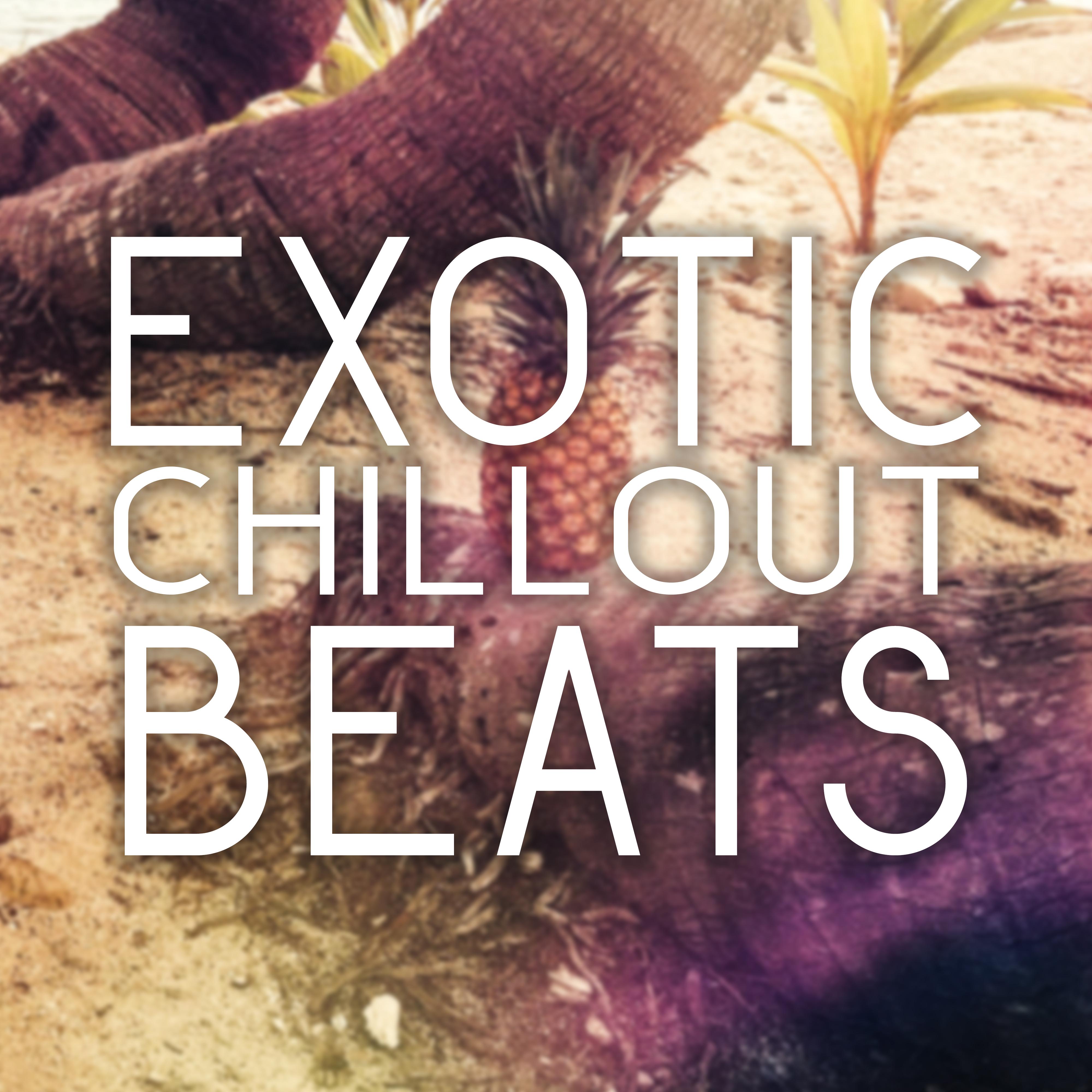 Exotic Chillout Beats – Chilled Melodies, Tropical Island, Blue Ocean, Summer Songs