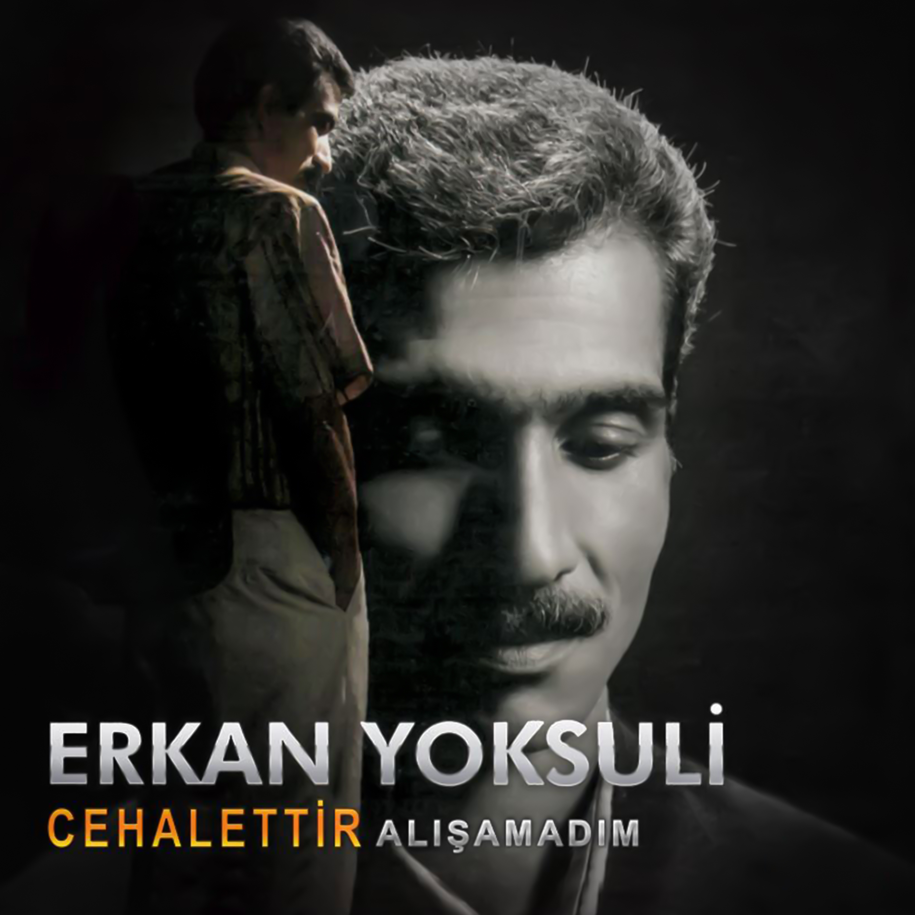 Cehalettir / Alışamadım