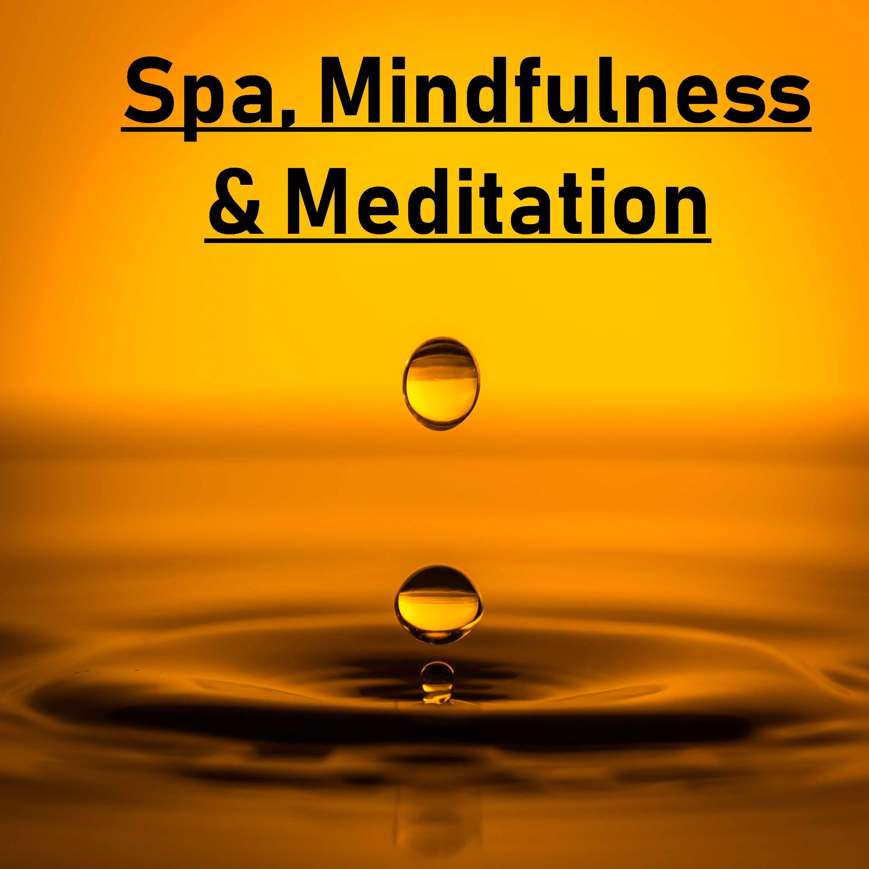 2018 Spa, Mindfulness & Meditation Album