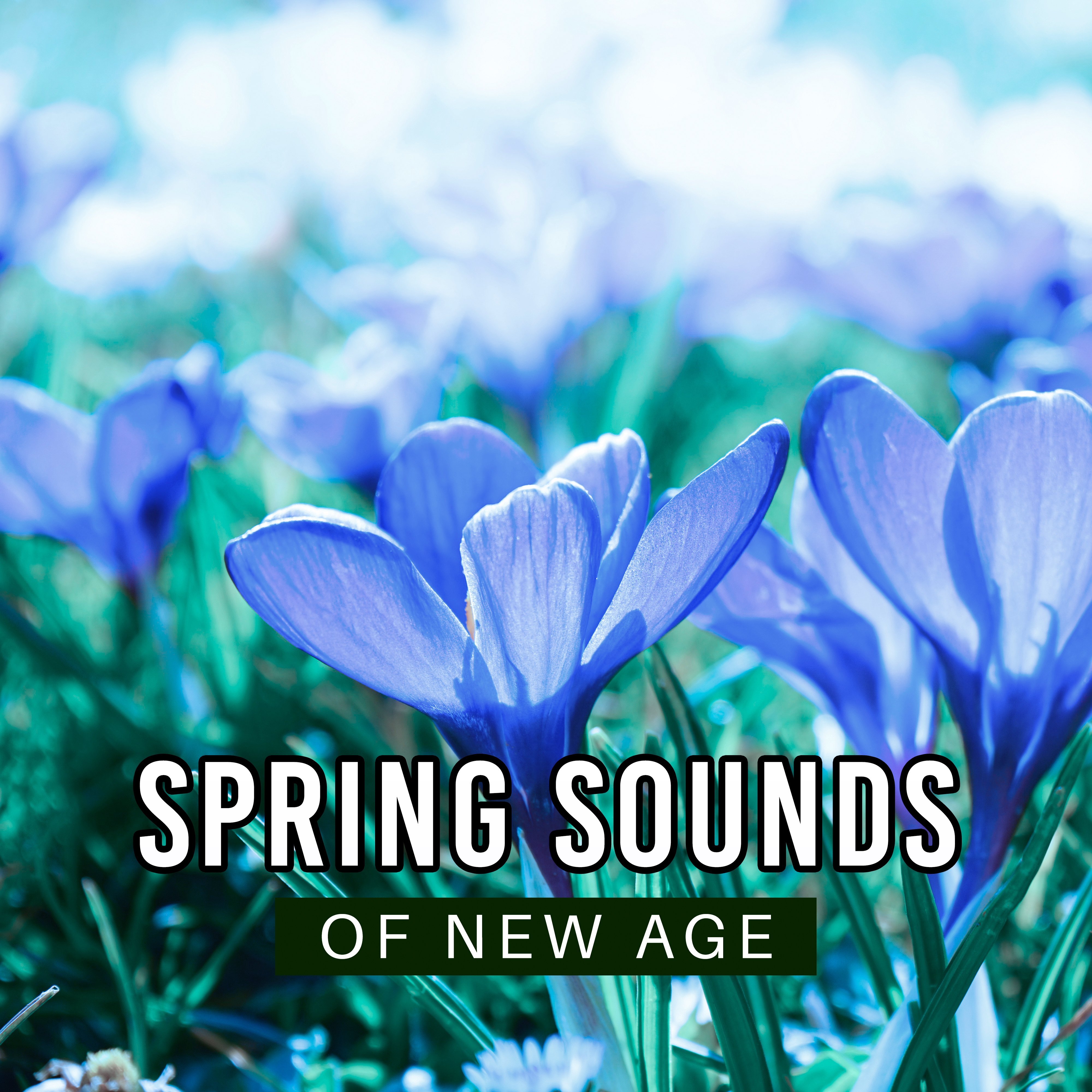 Spring Sounds of New Age – Calming Sounds of Nature, Birds, Water, Deep Relaxing Music, Meditation in the Nature