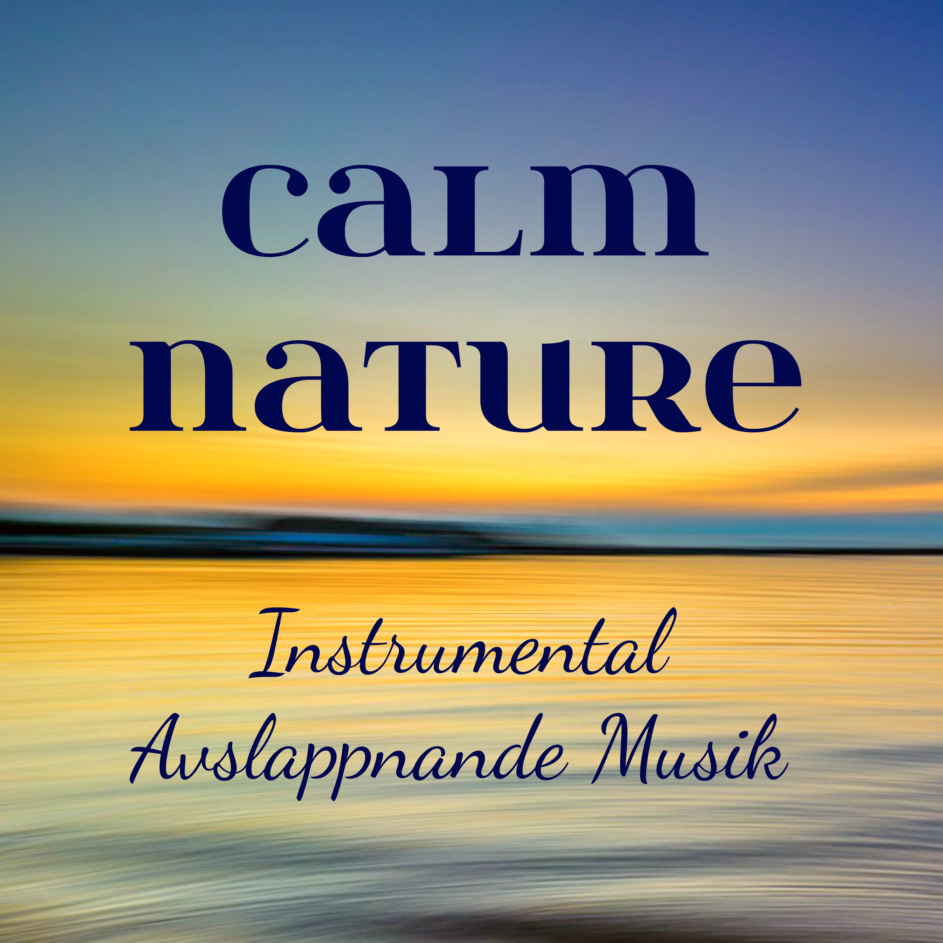 Calm Nature - Instrumental Avslappnande Musik för Mindfulnessträning Massage Terapi Andlig Healing med Natur New Age Ljud