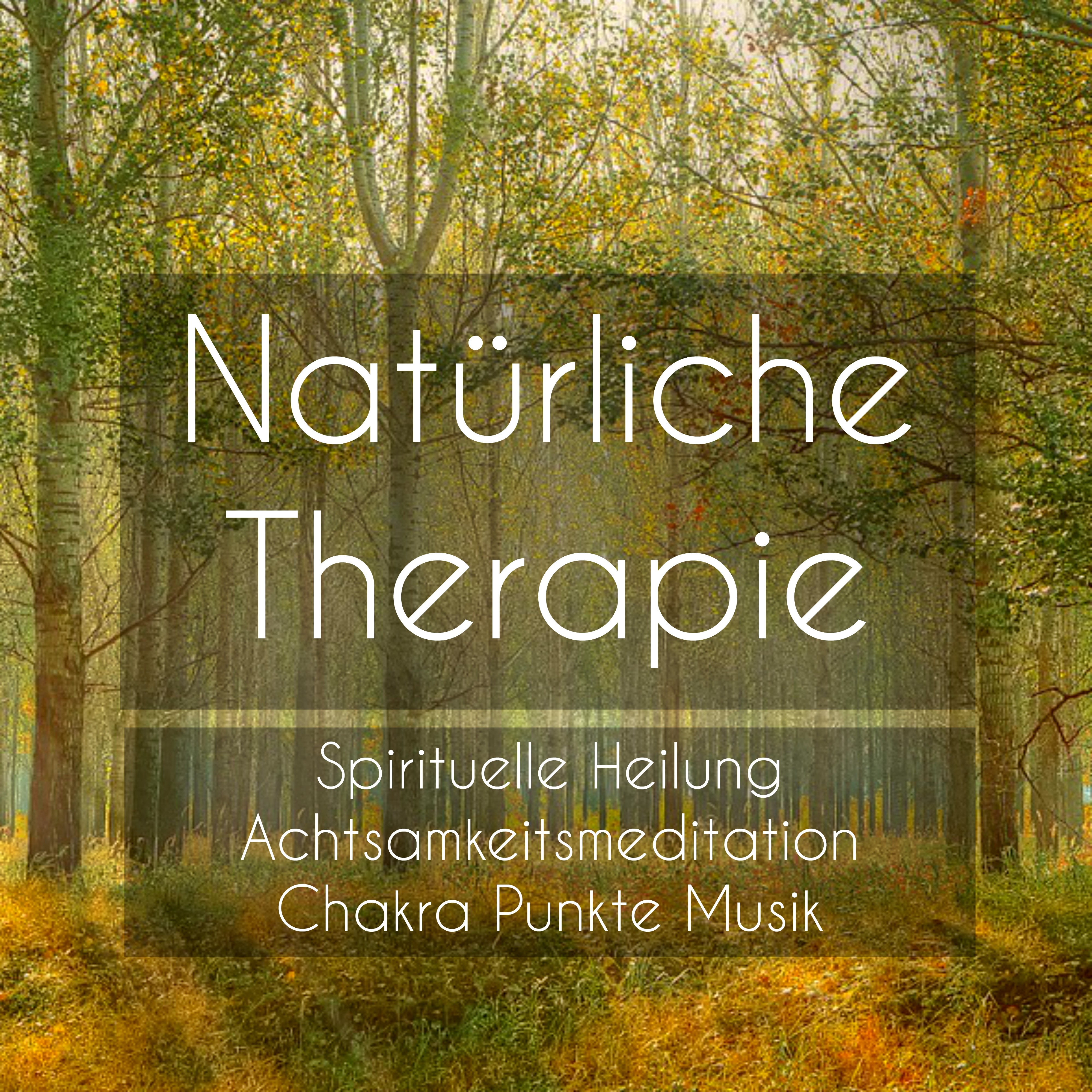 Natürliche Therapie - Spirituelle Heilung Achtsamkeitsmeditation Chakra Punkte Musik mit Binaurale New Age Entspannende Geräusche