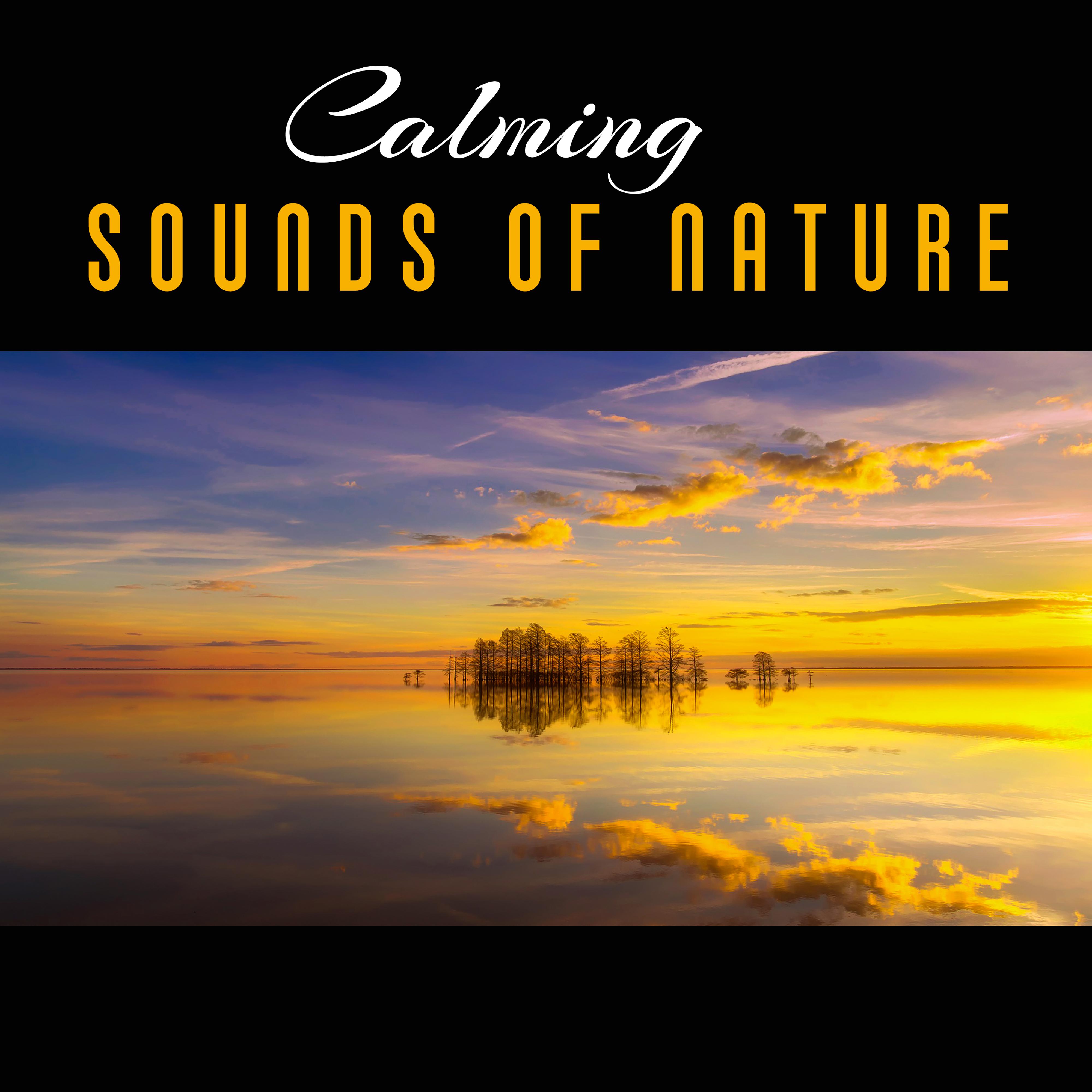 Calming Sounds of Nature – Soft Sounds to Relax, Nature Rest, New Age Music, Spa Massage, Inner Calmness