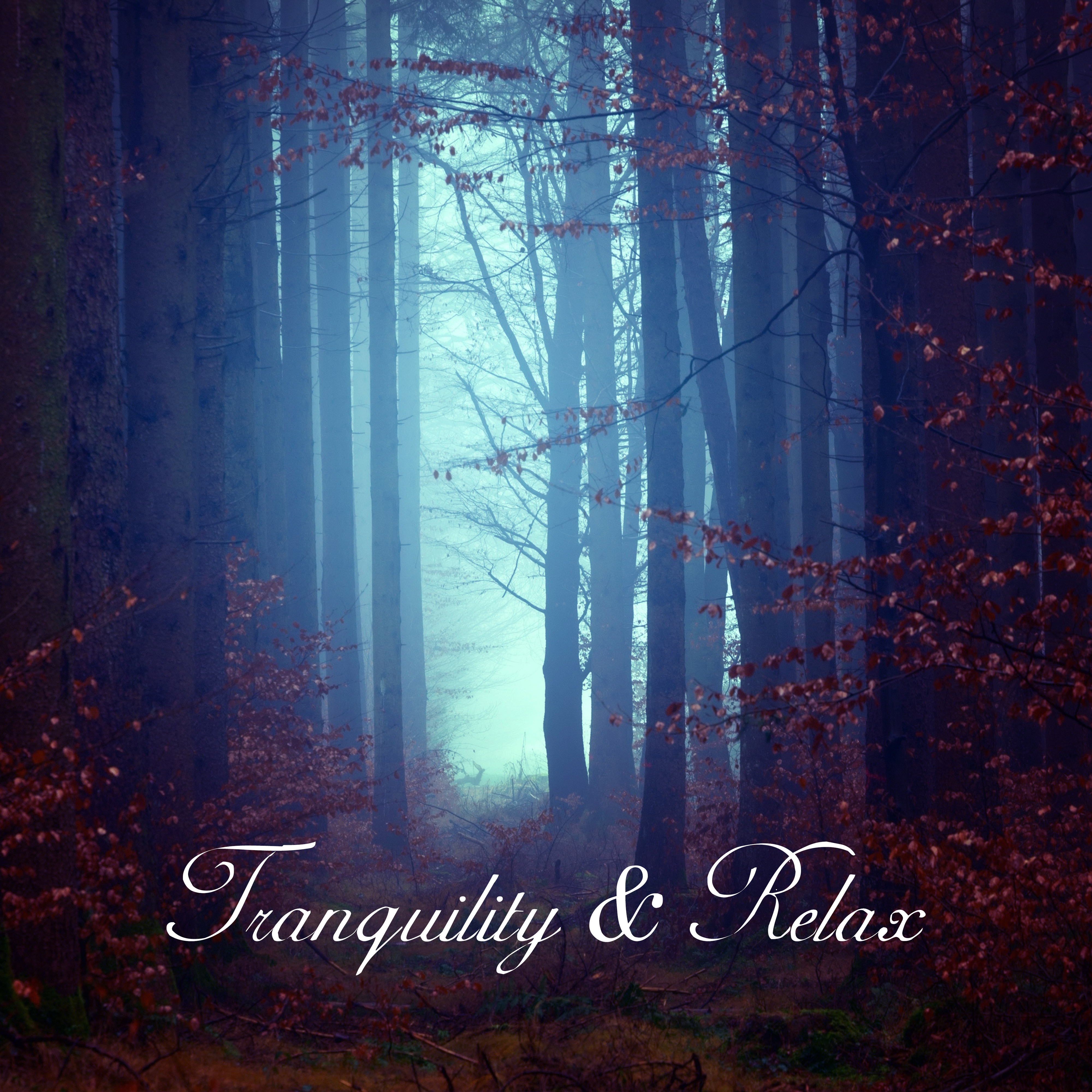 Tranquility & Relax – Soothing Music to Calm Down, Pure Rest, Inner Zen, Harmony for Mind