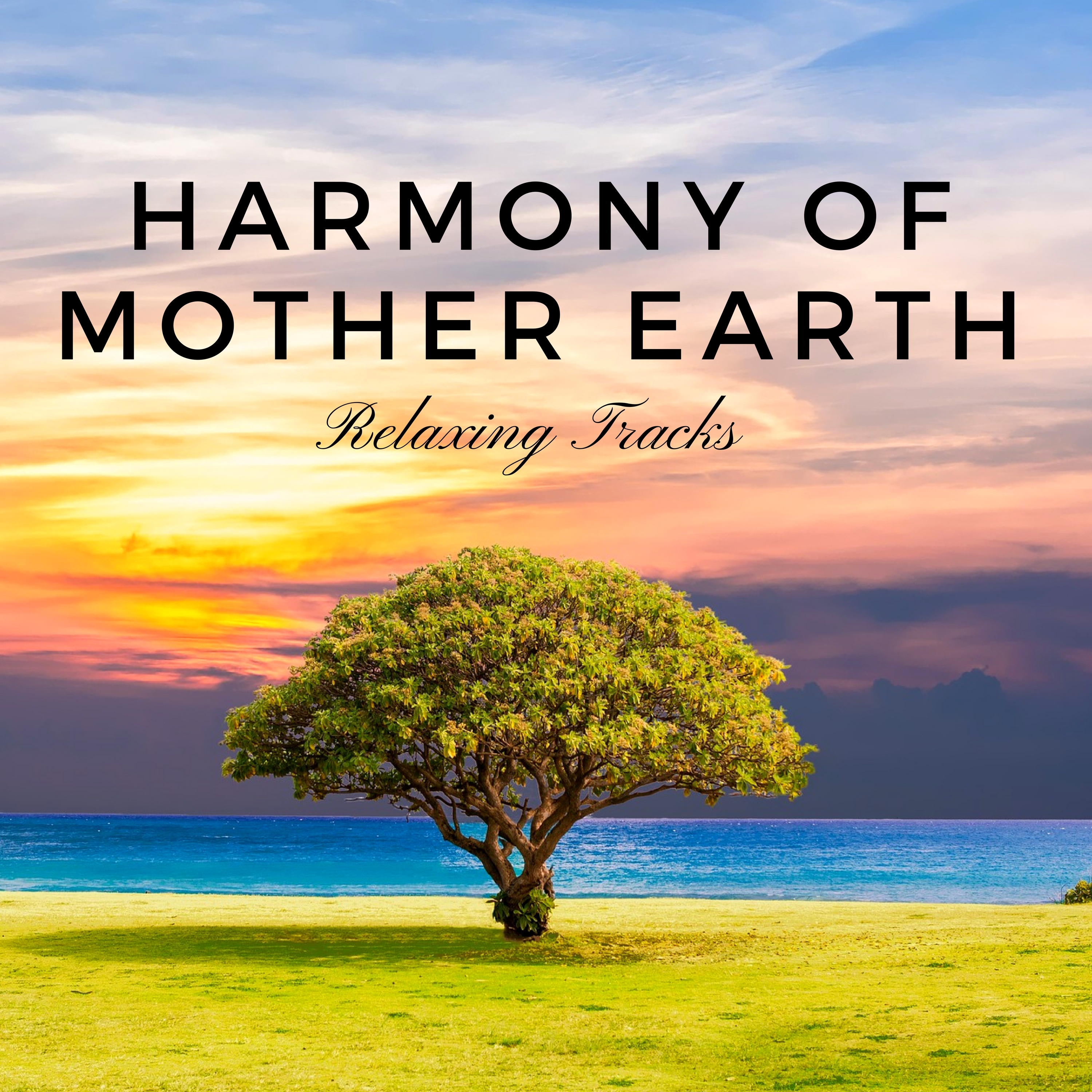 Harmony of Mother Earth