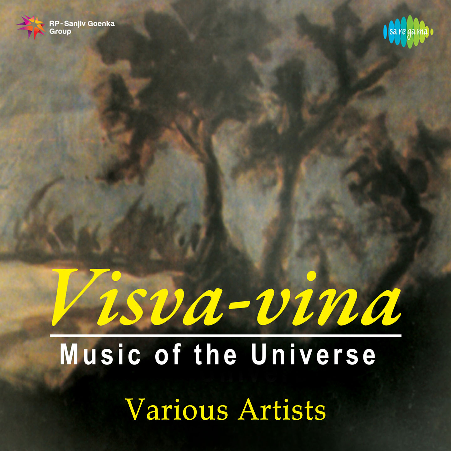 Visva Vina Music Of The Universe