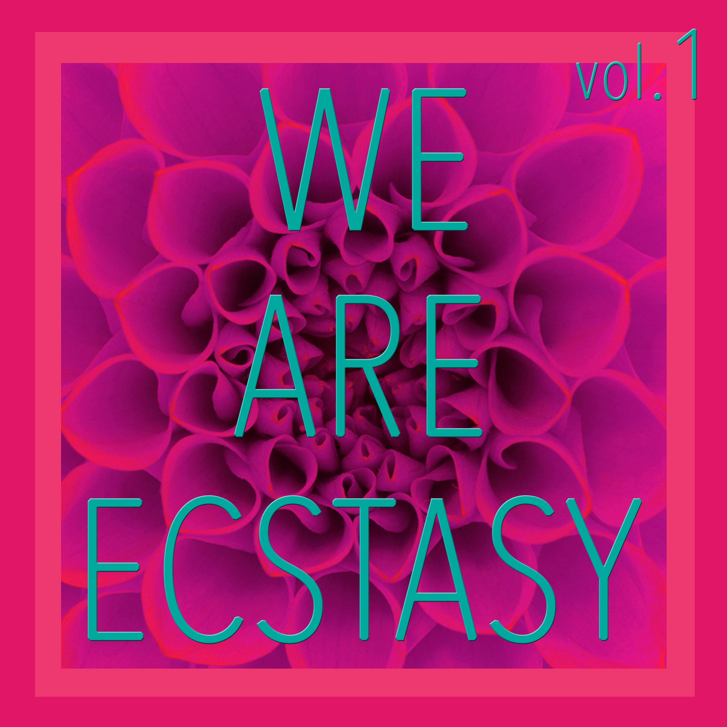 We Are Ecstasy, Vol. 1 - Selection of House and Tech House
