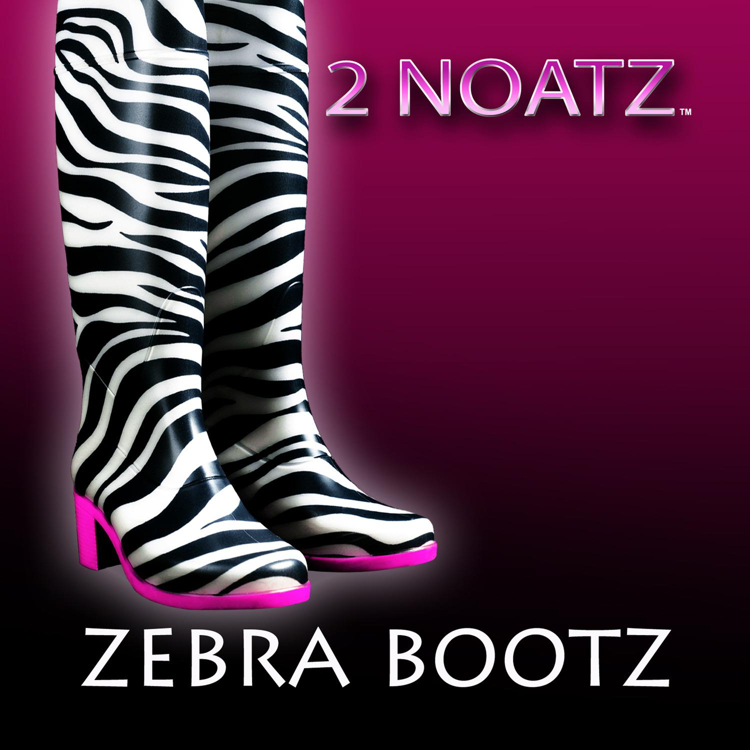 Zebra Bootz