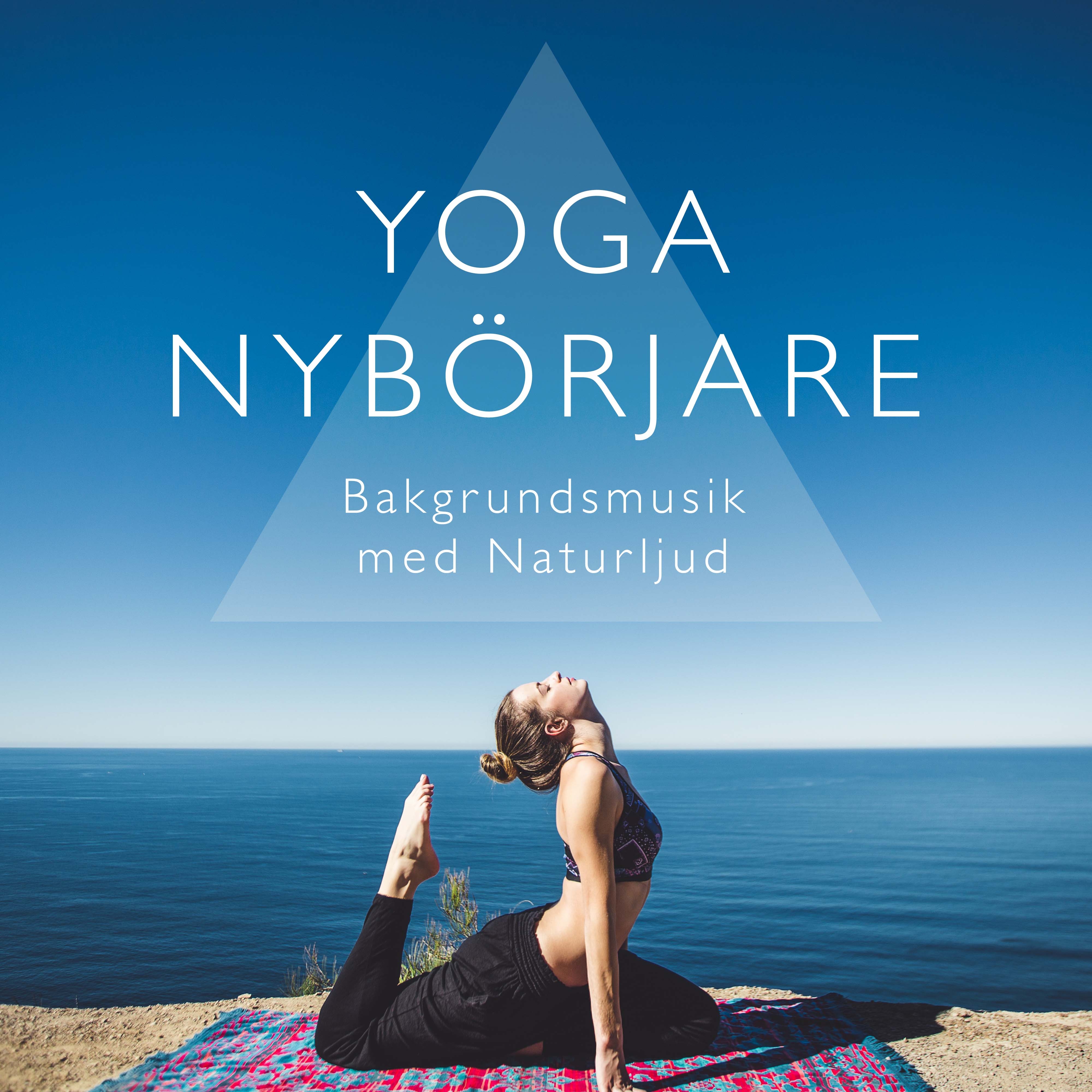 Yoga Nybörjare: Bakgrundsmusik med Naturljud